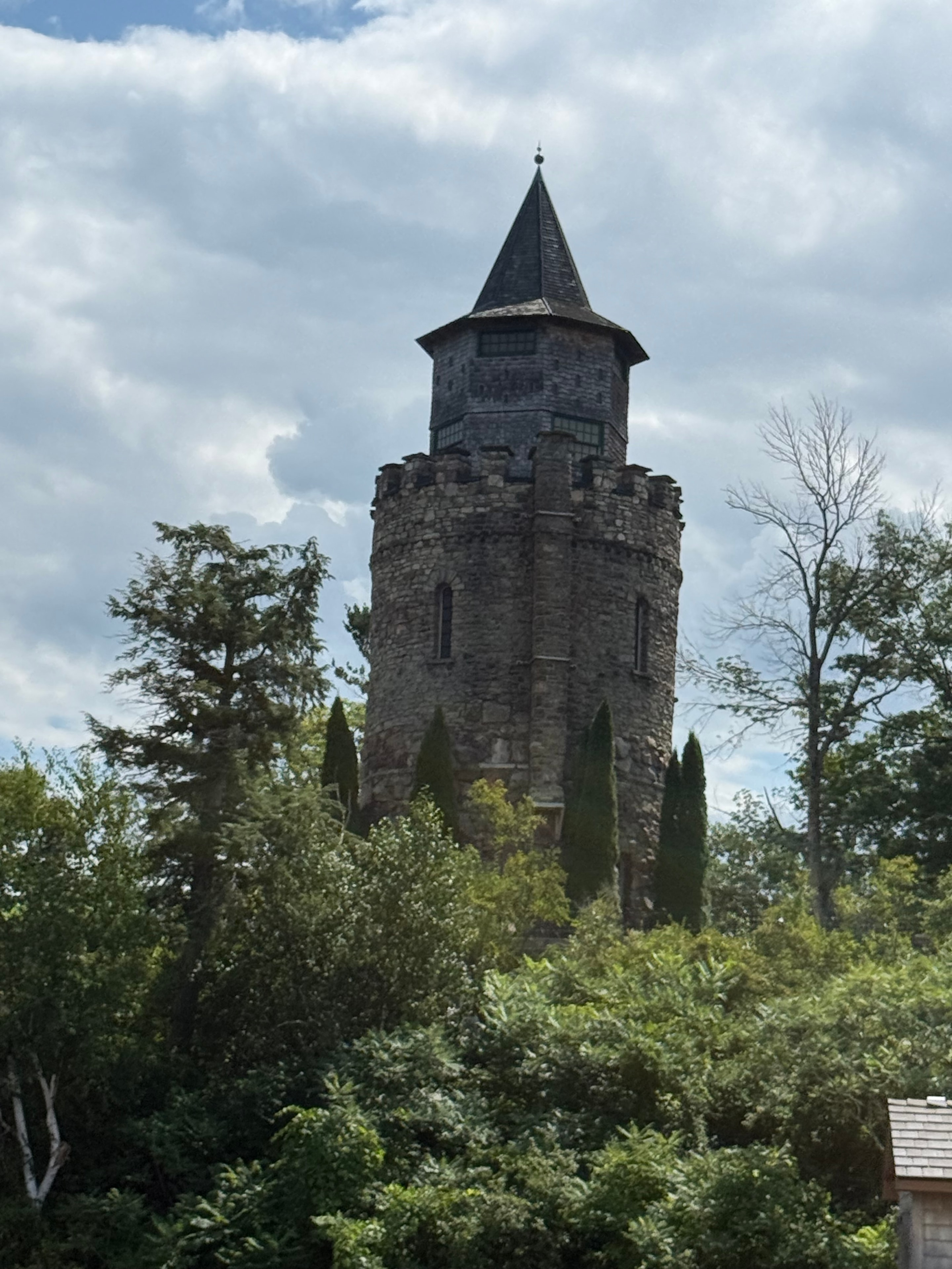 Castle Tower Through the Trees