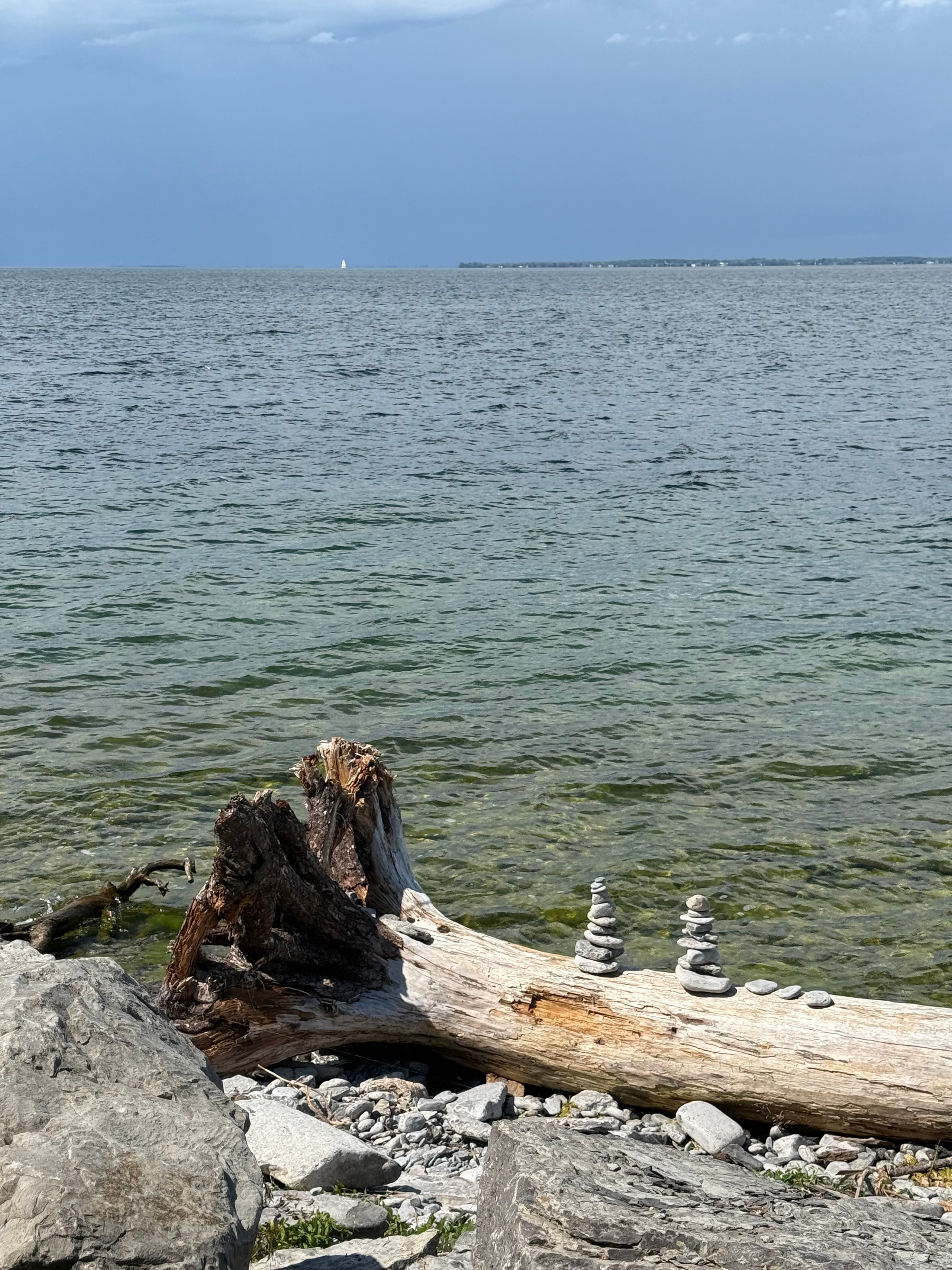 Driftwood & Stacked Stones on the Shoreline