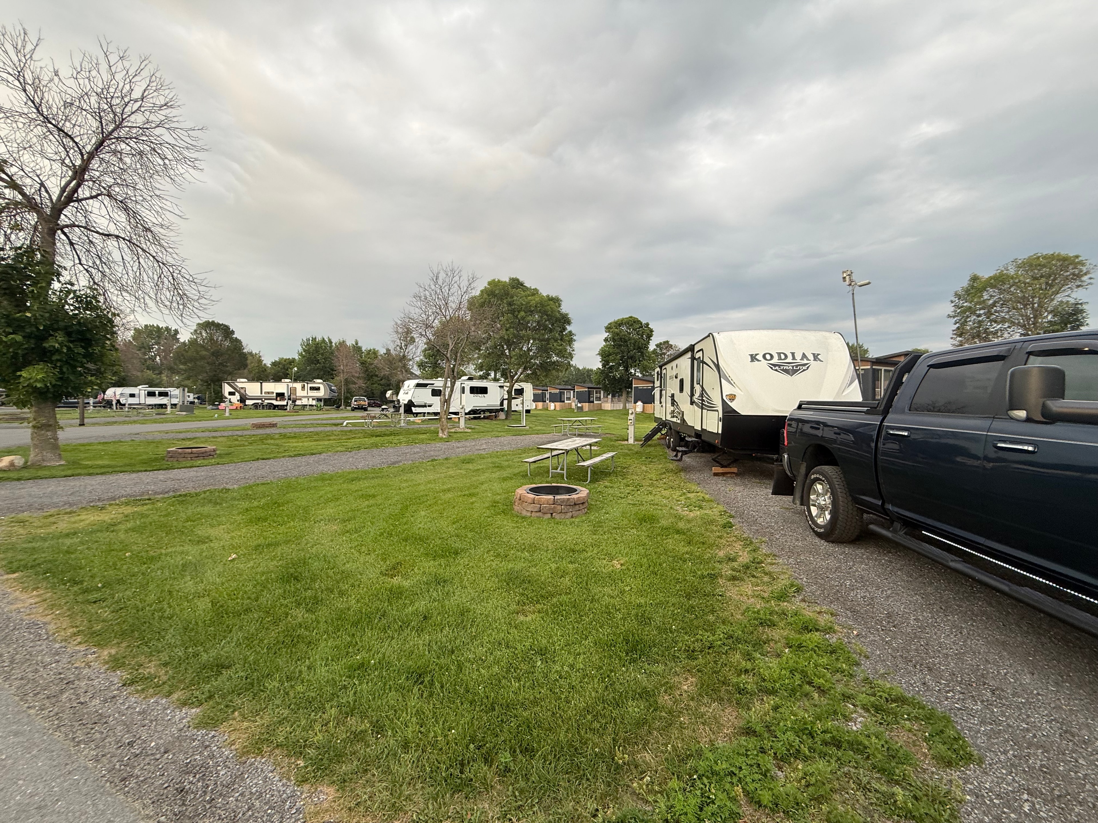 Kodiak at the Campsite