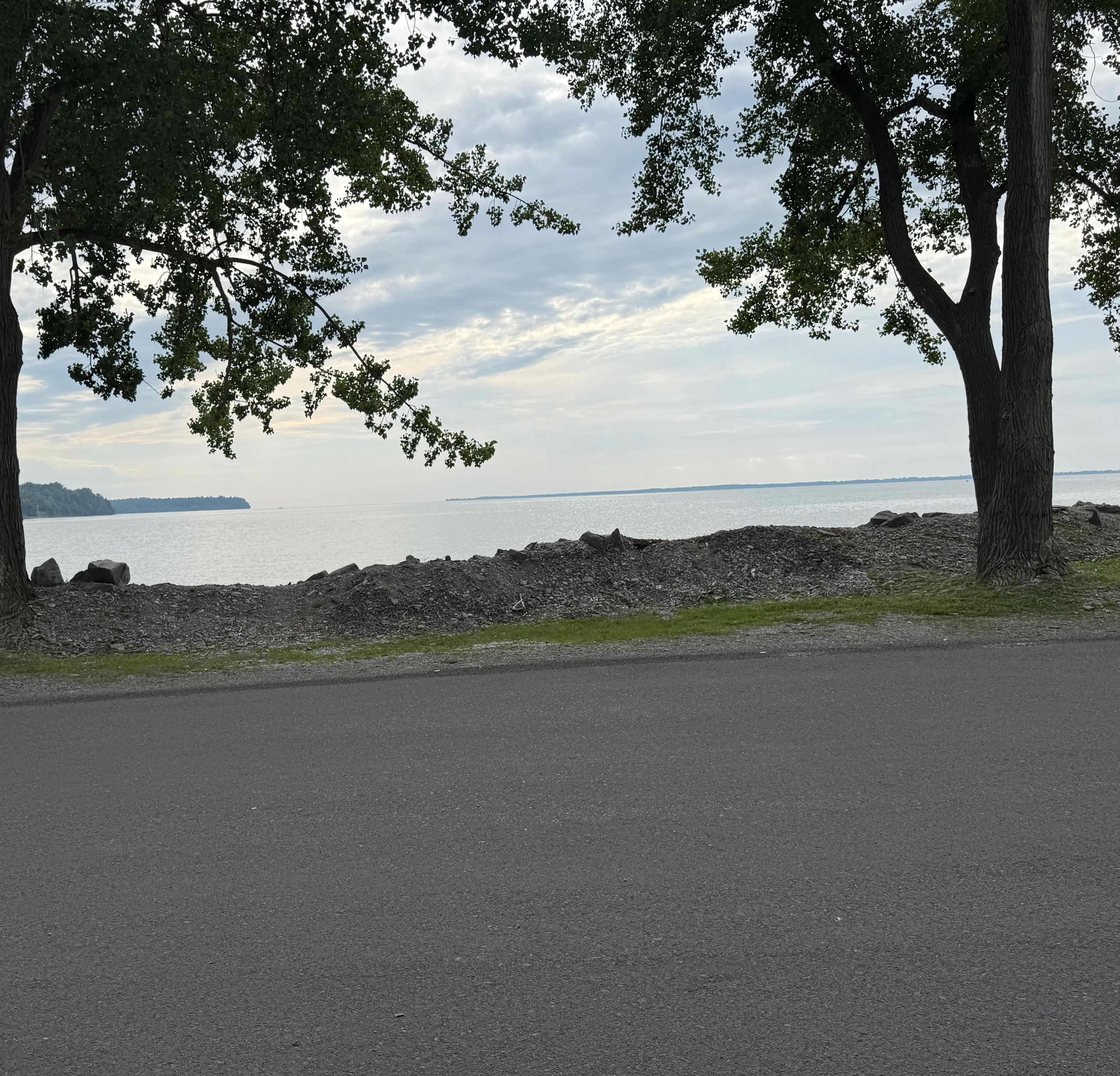 Lake View Between the Trees
