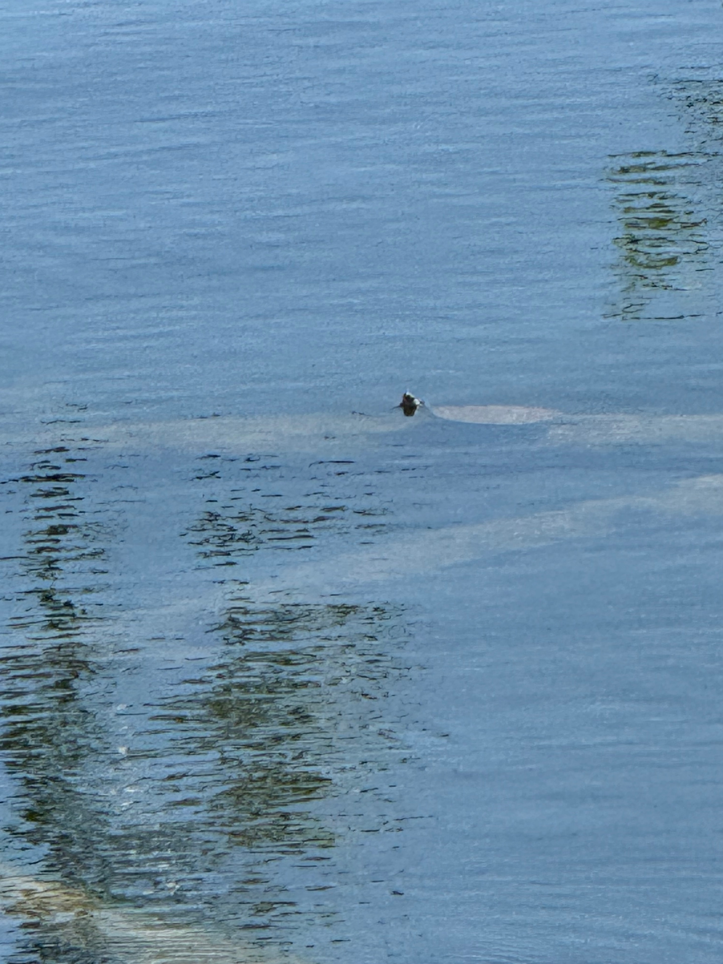 Lone Kayaker on the Open Lake