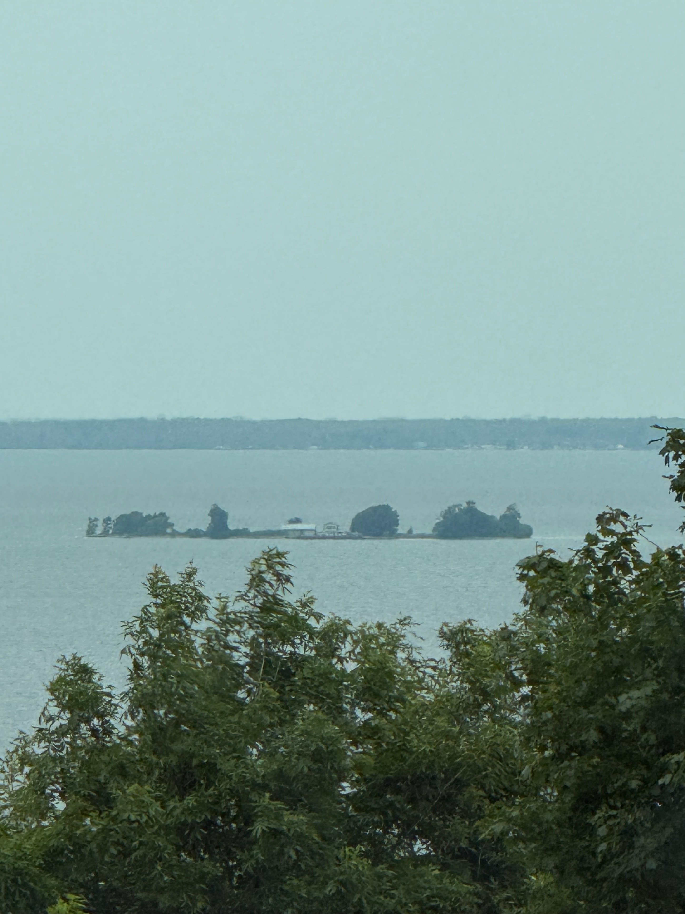 Misty Lake View