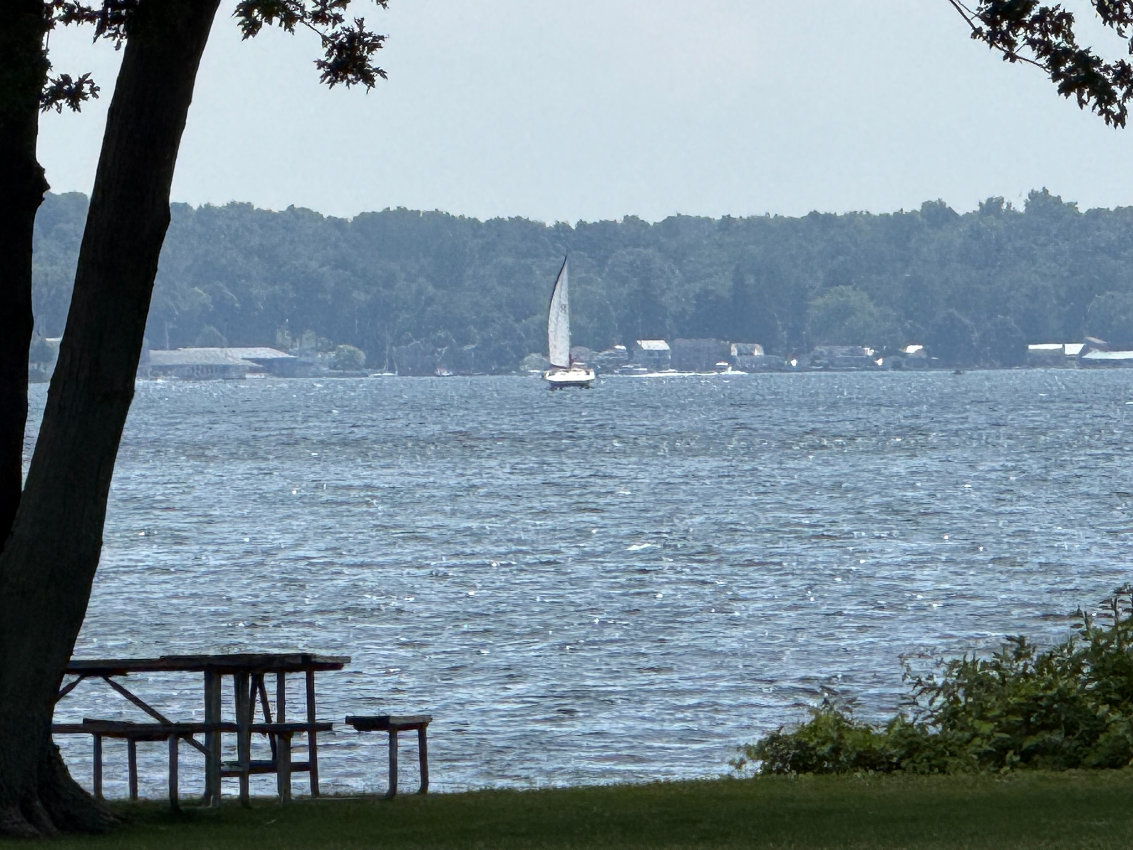 Sailboat on the Lake