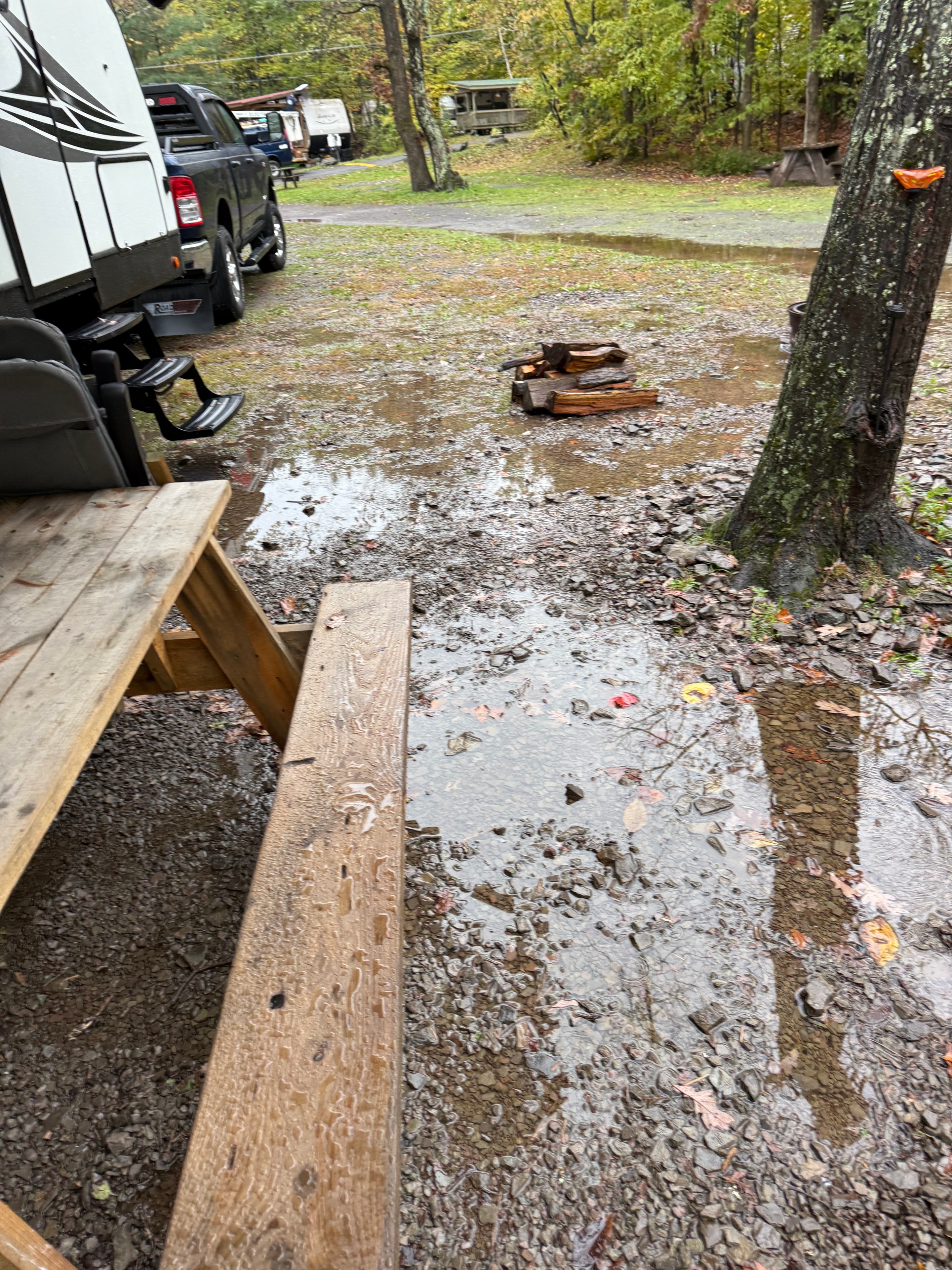Golf cart in the rain