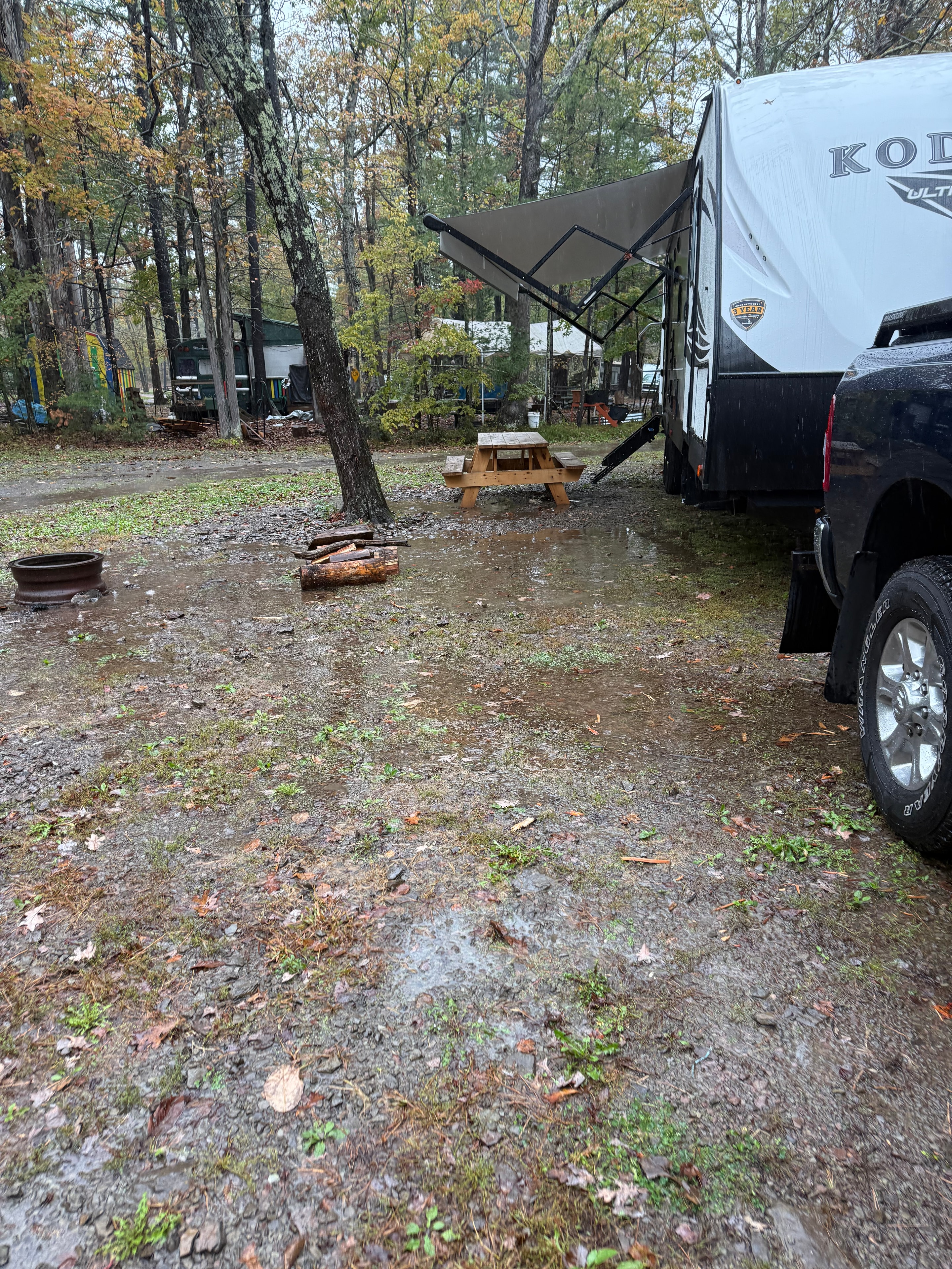 Kodiak at the campsite on a rainy day
