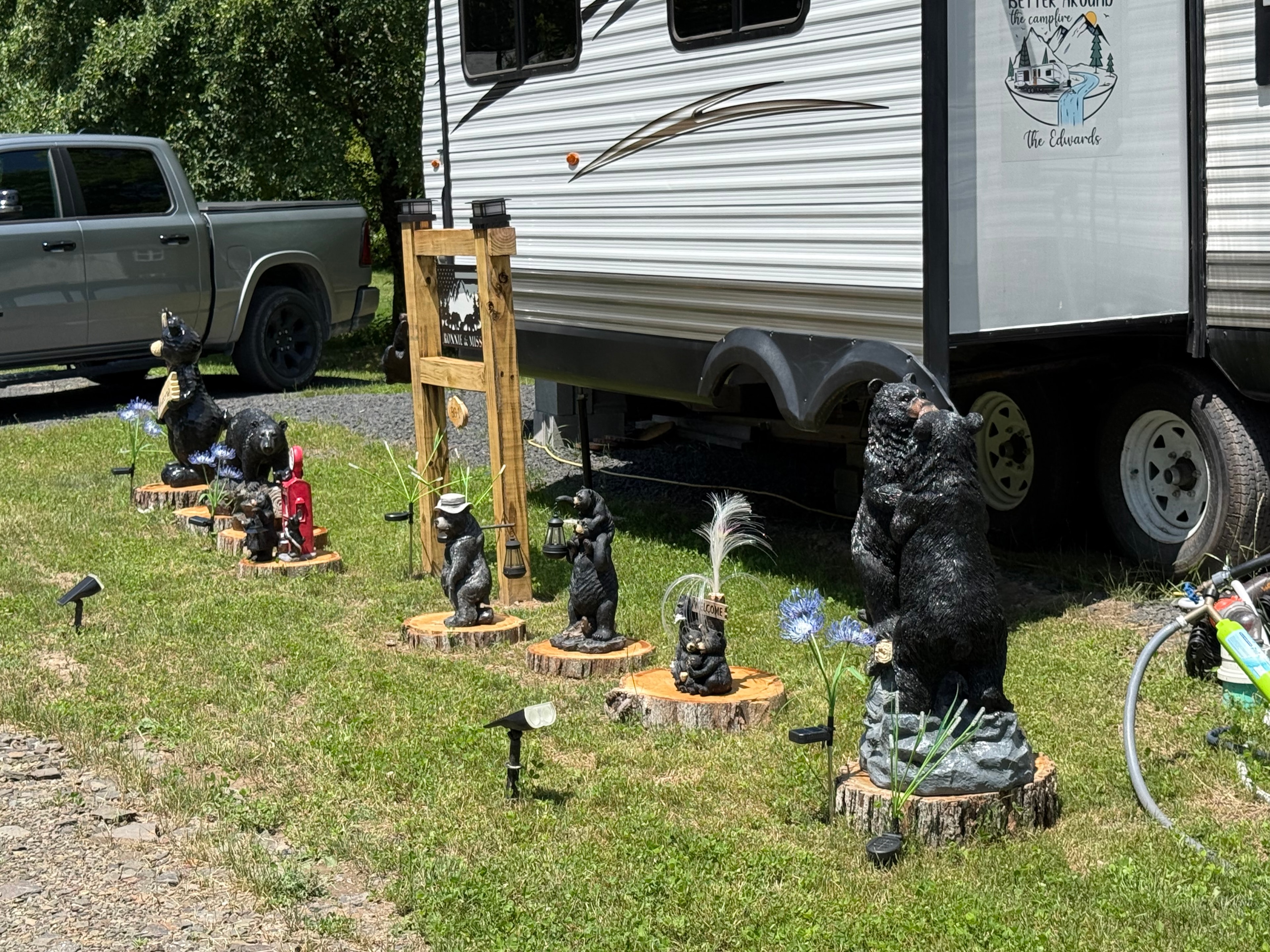 Full bear collection display at the campsite