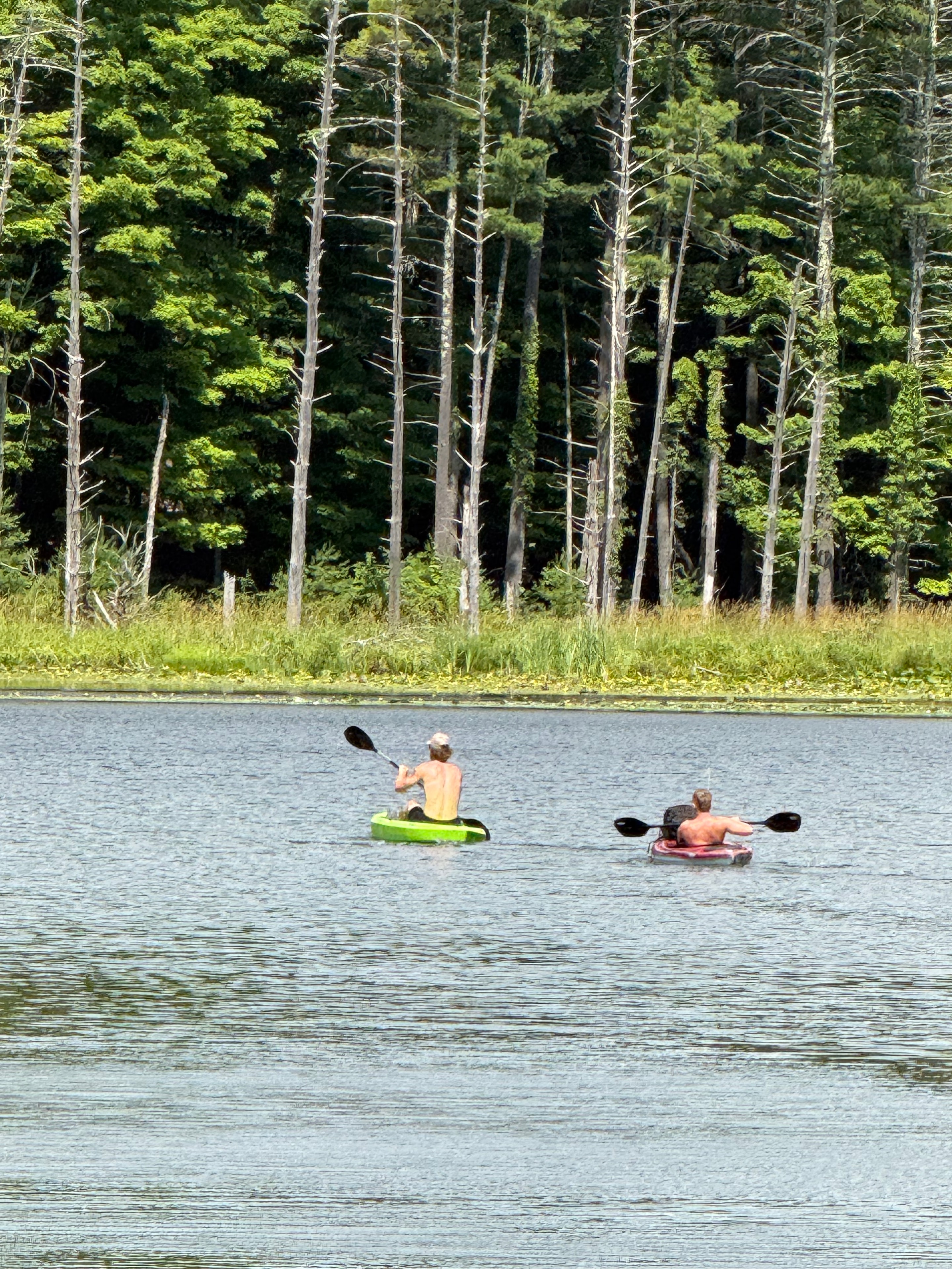 Two kayakers paddling along the forested shoreline