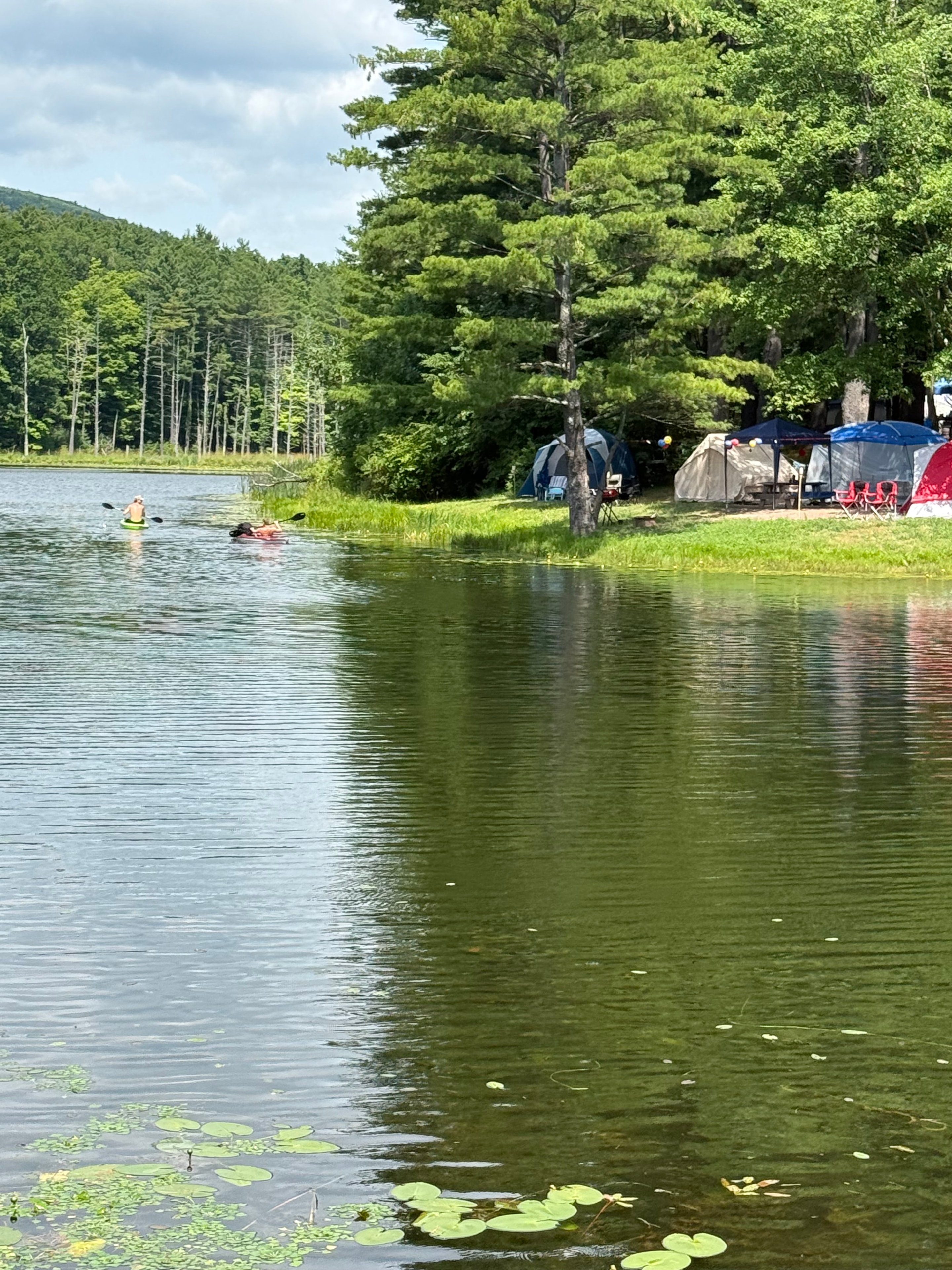 Kayakers on the lake with lily pads