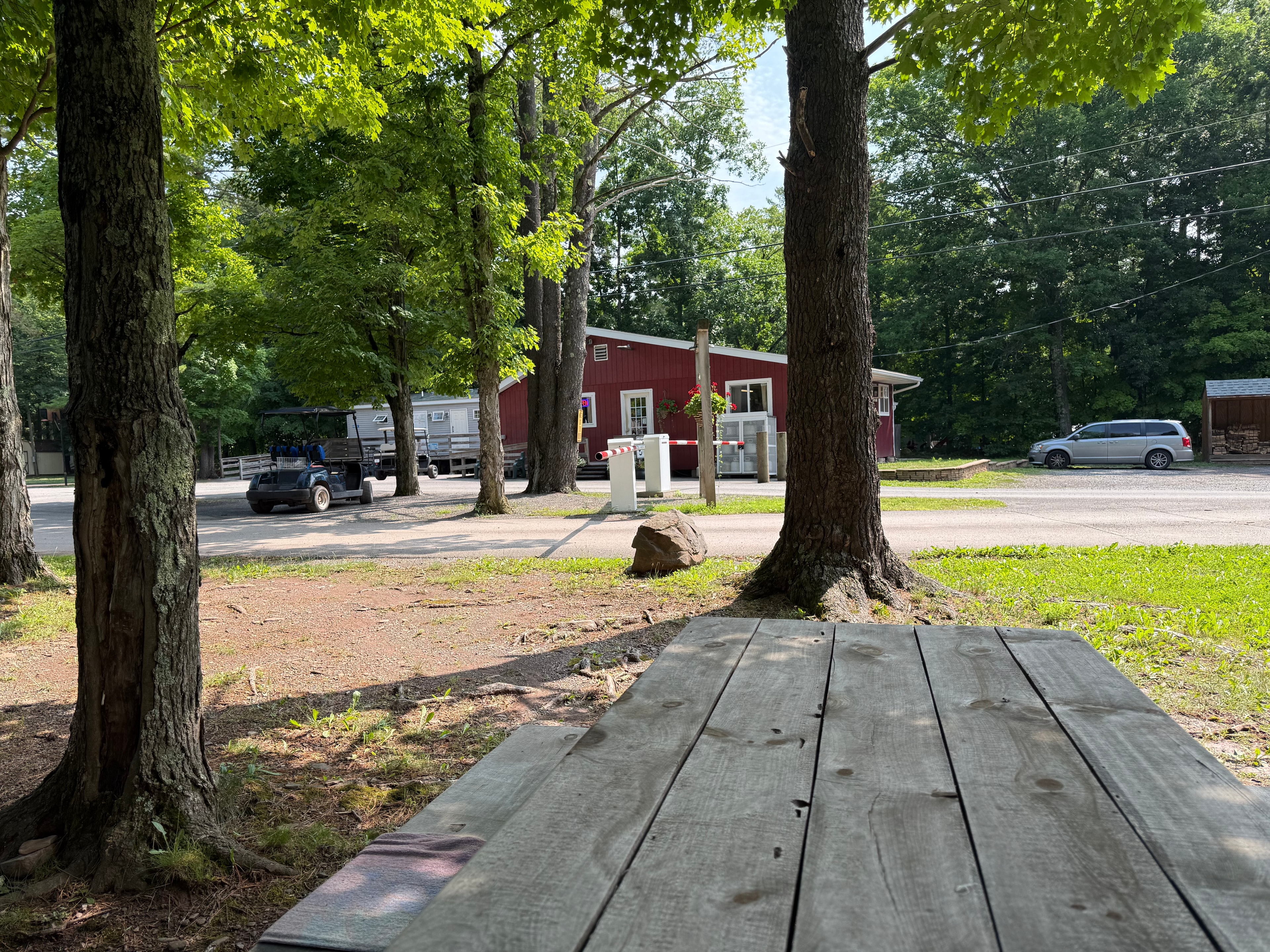 After the heavy rain last night, camp is quiet — view from the picnic table