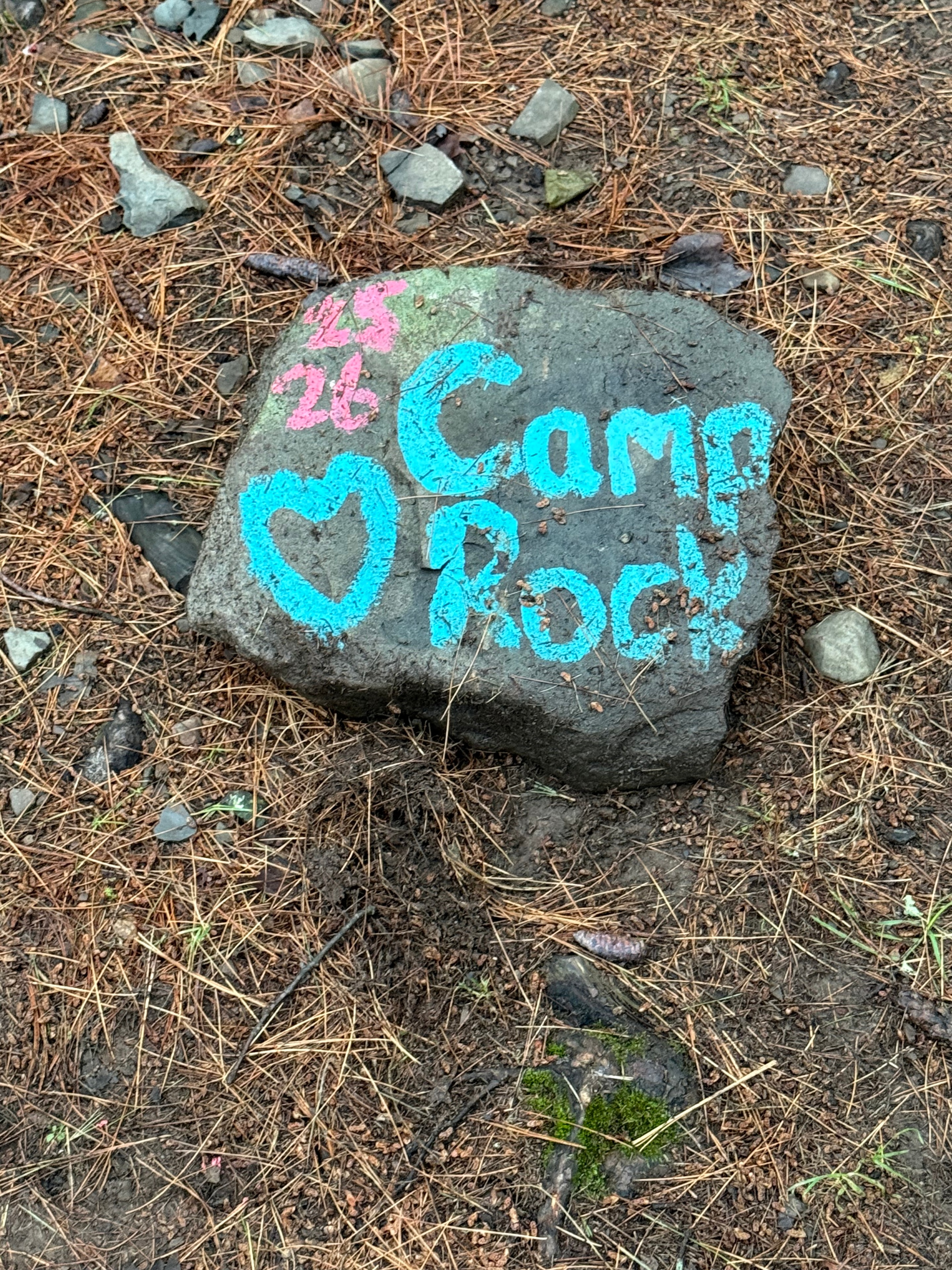 Painted rock found at the campground