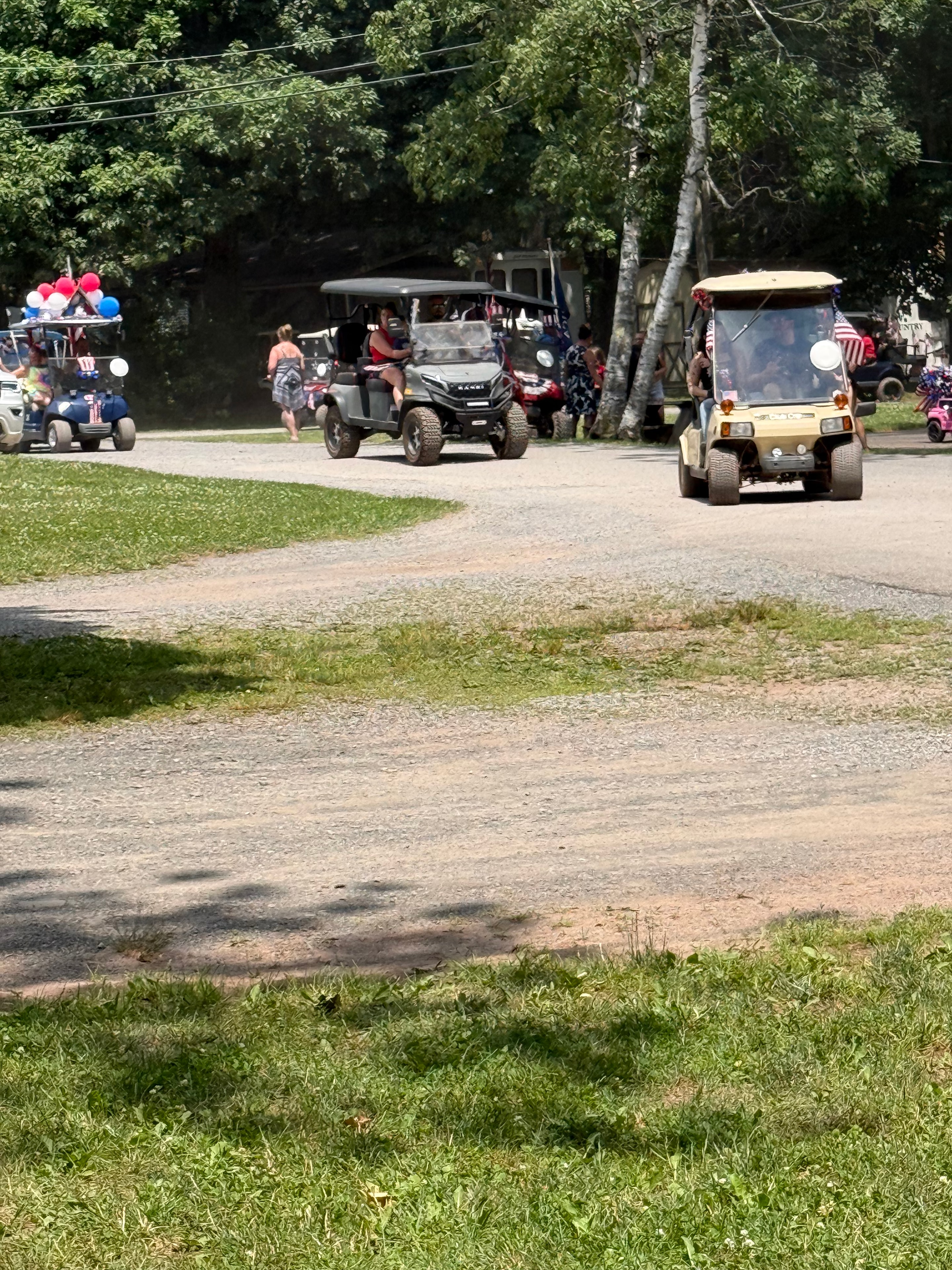 Tan cart lineup along the campground road