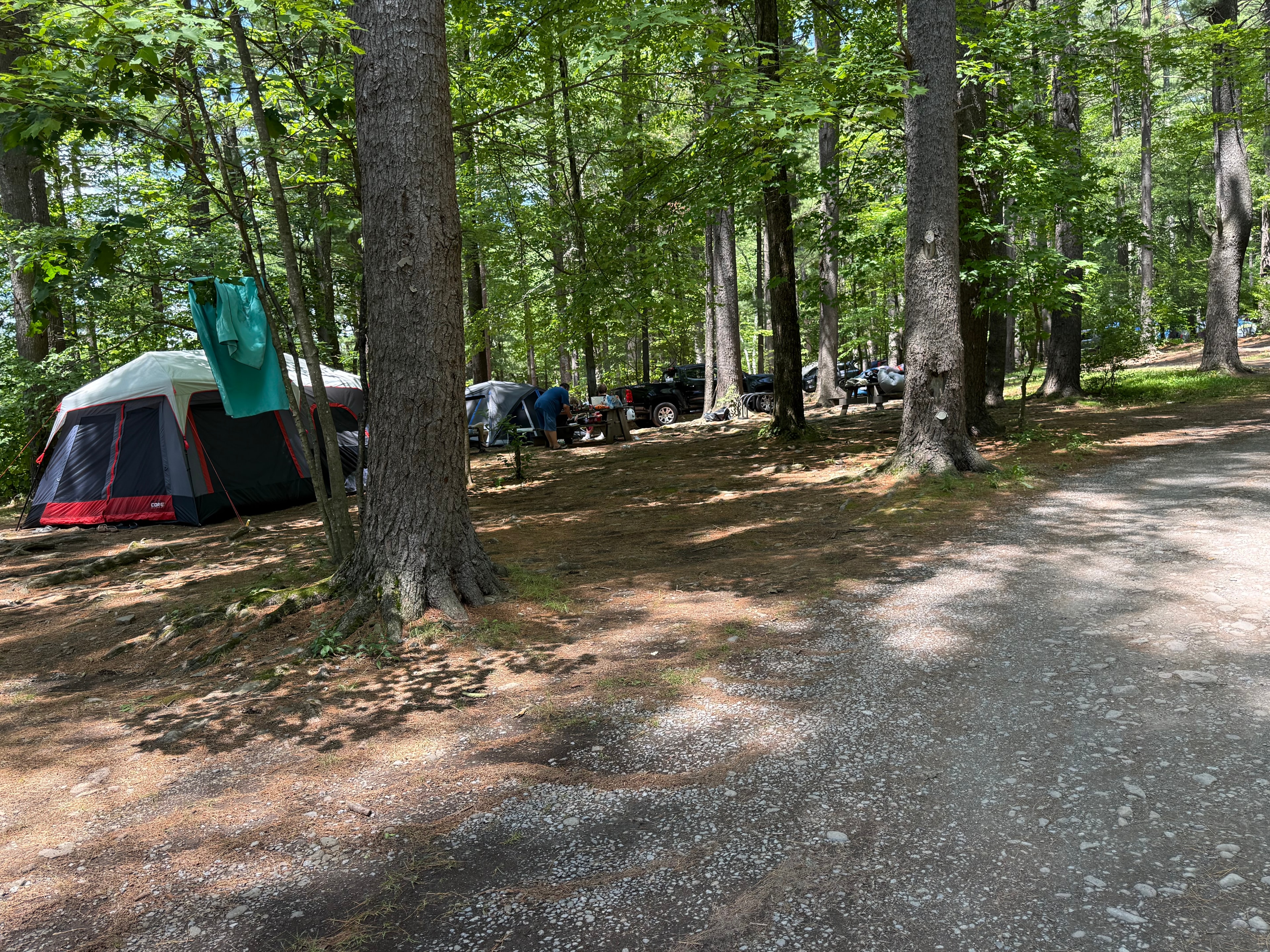 Tent campsite in the woods at Whip O Will