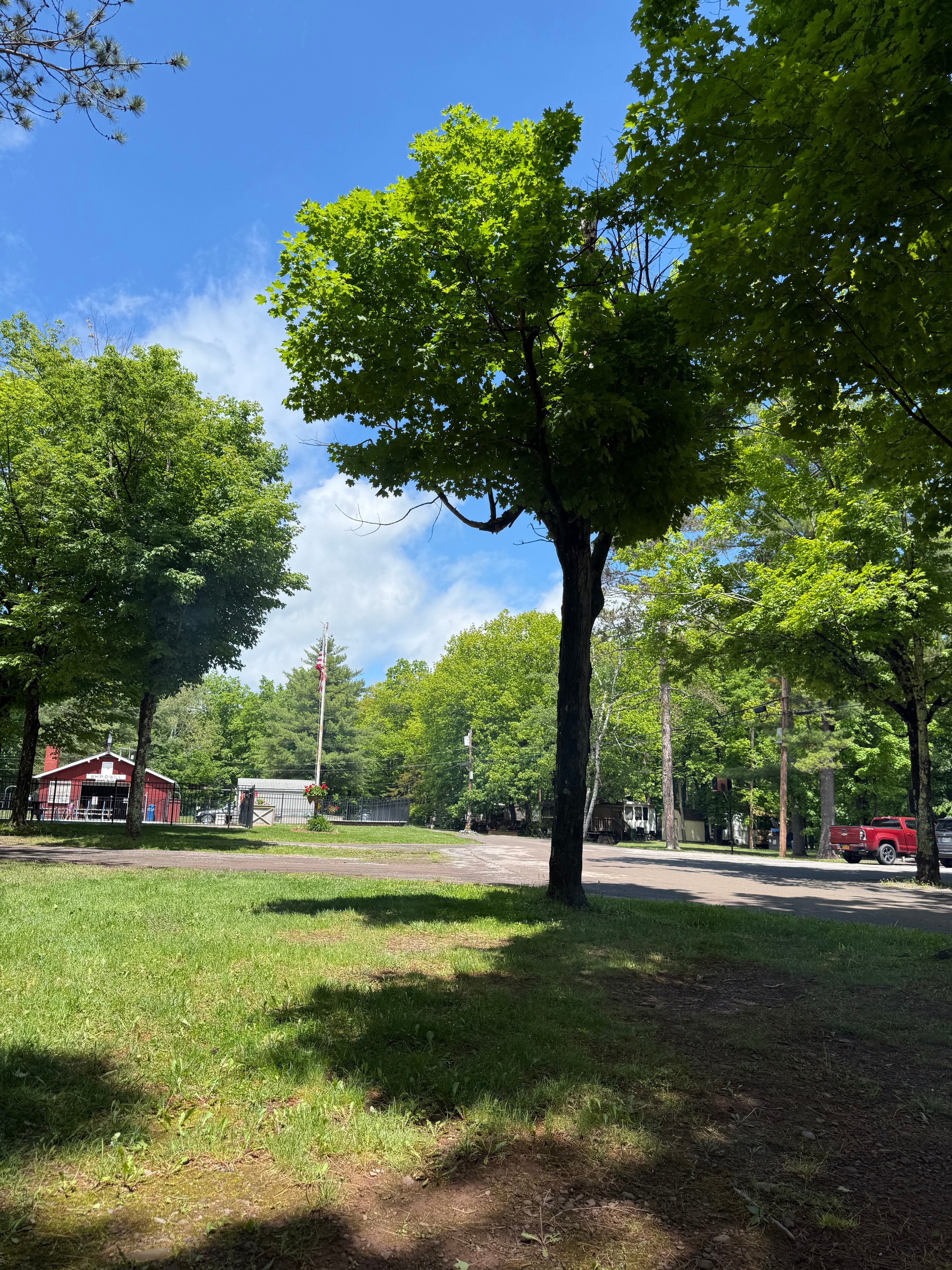 Campground road