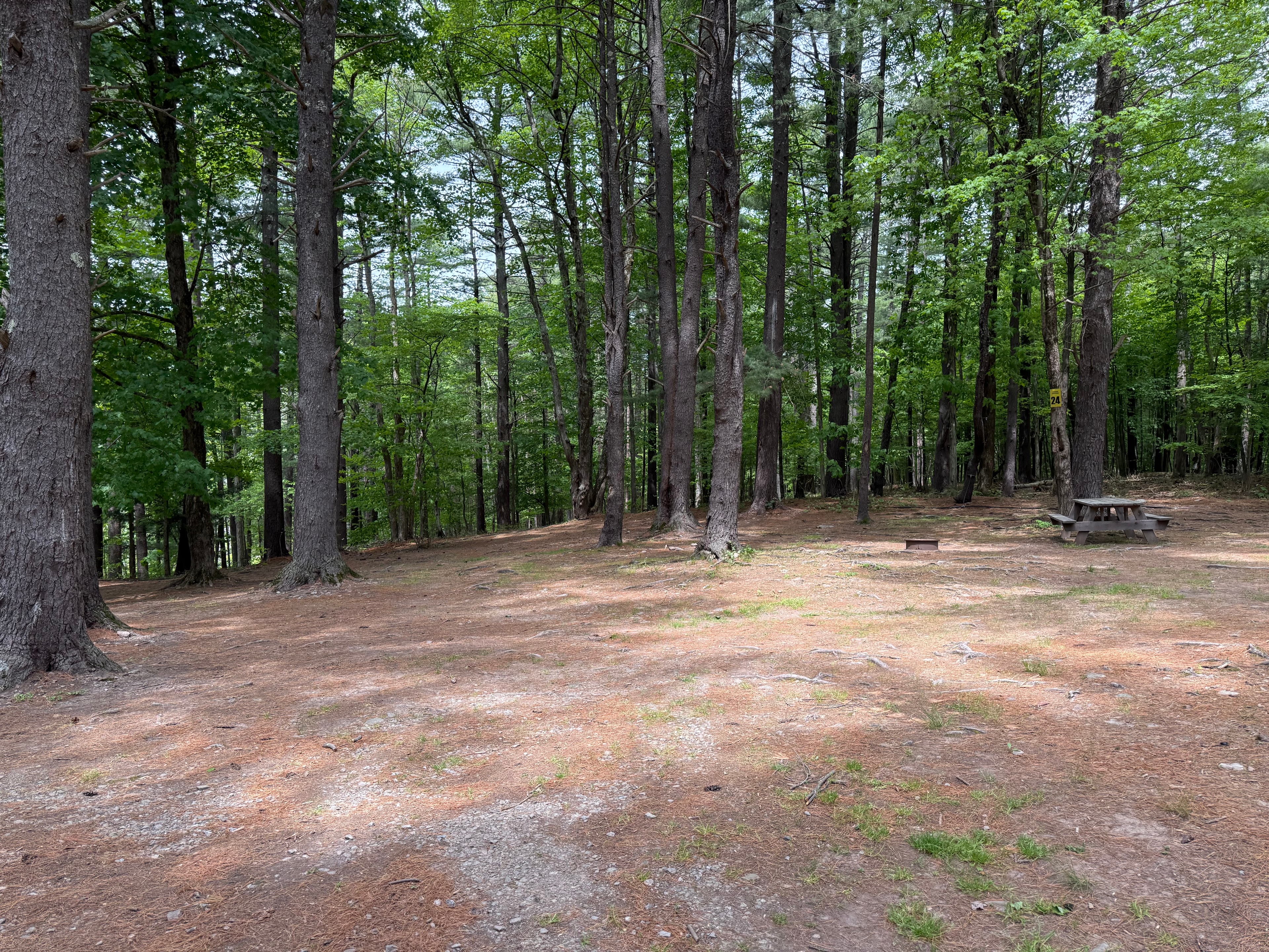 Campground in the woods