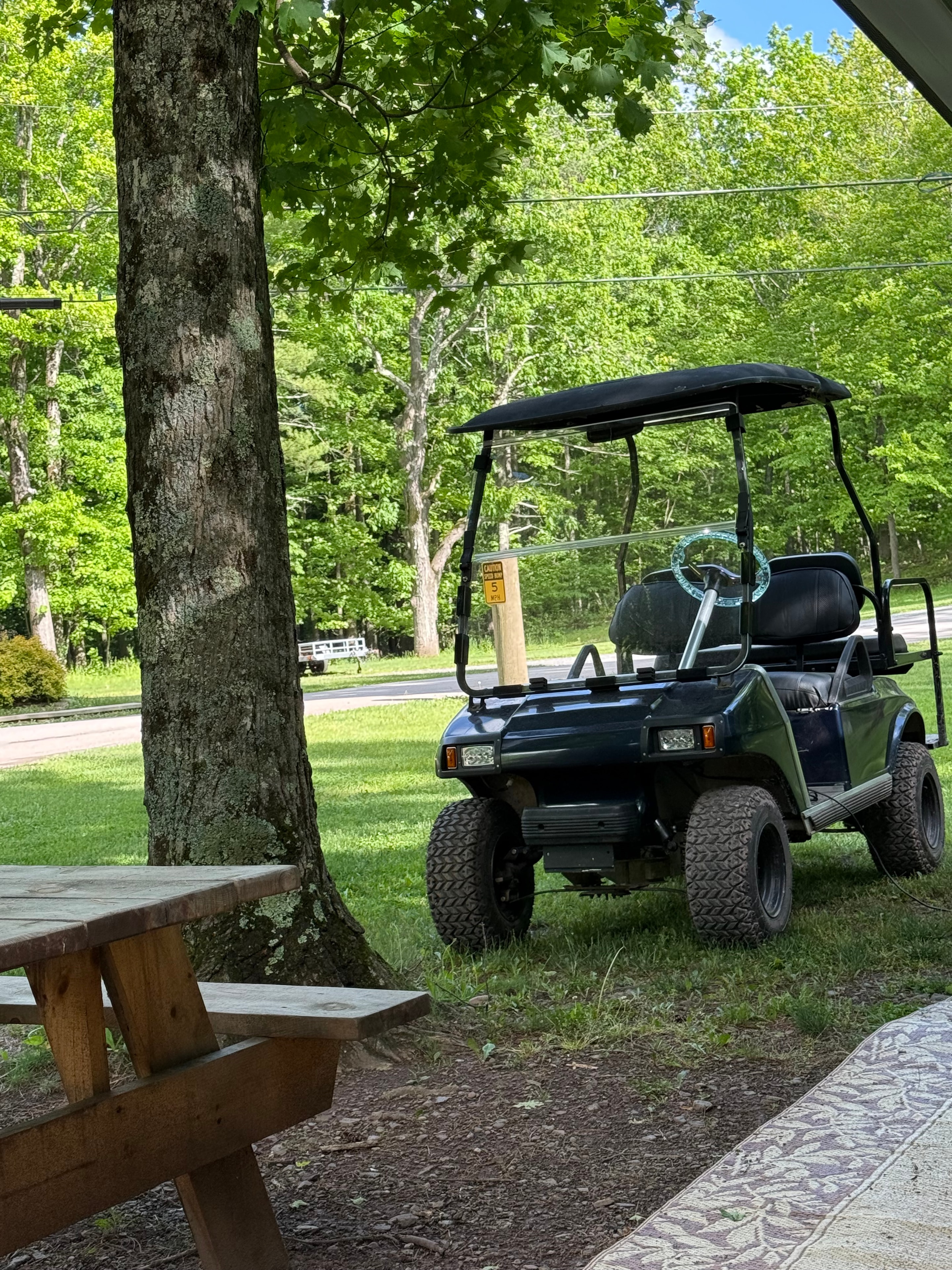 Golf cart view from the site
