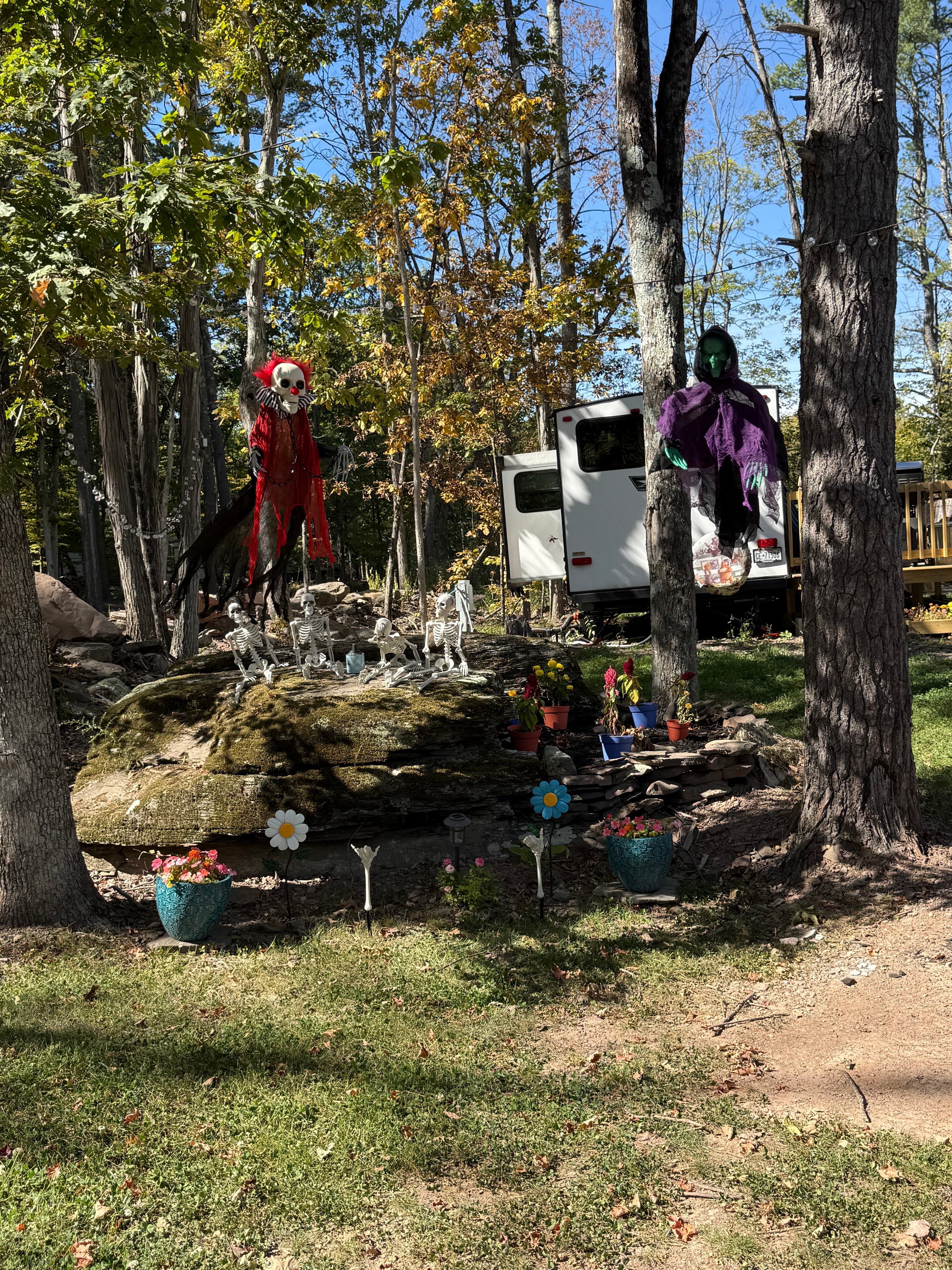 Decorated campsite in the daytime