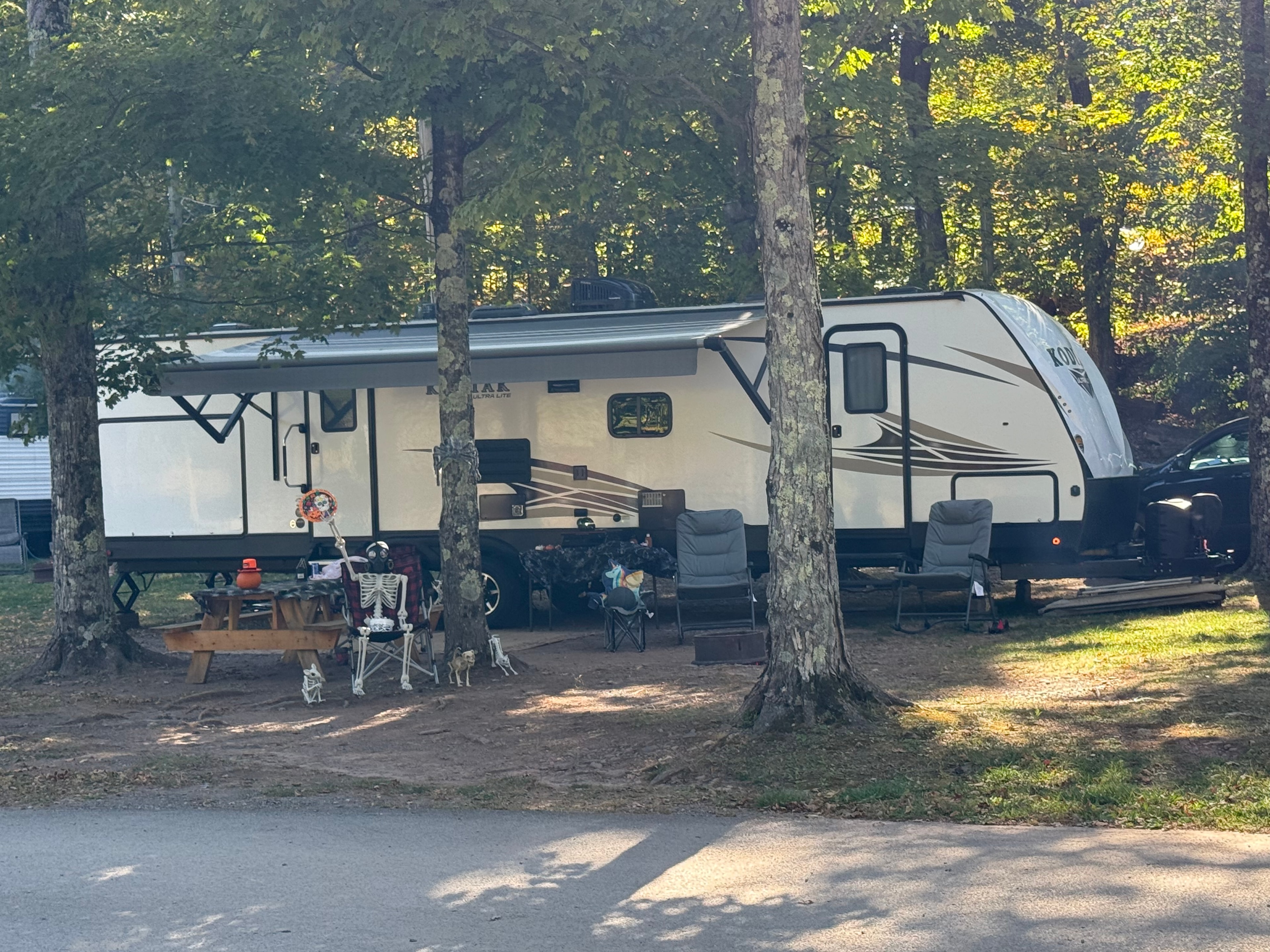 Our Kodiak decorated for Halloween