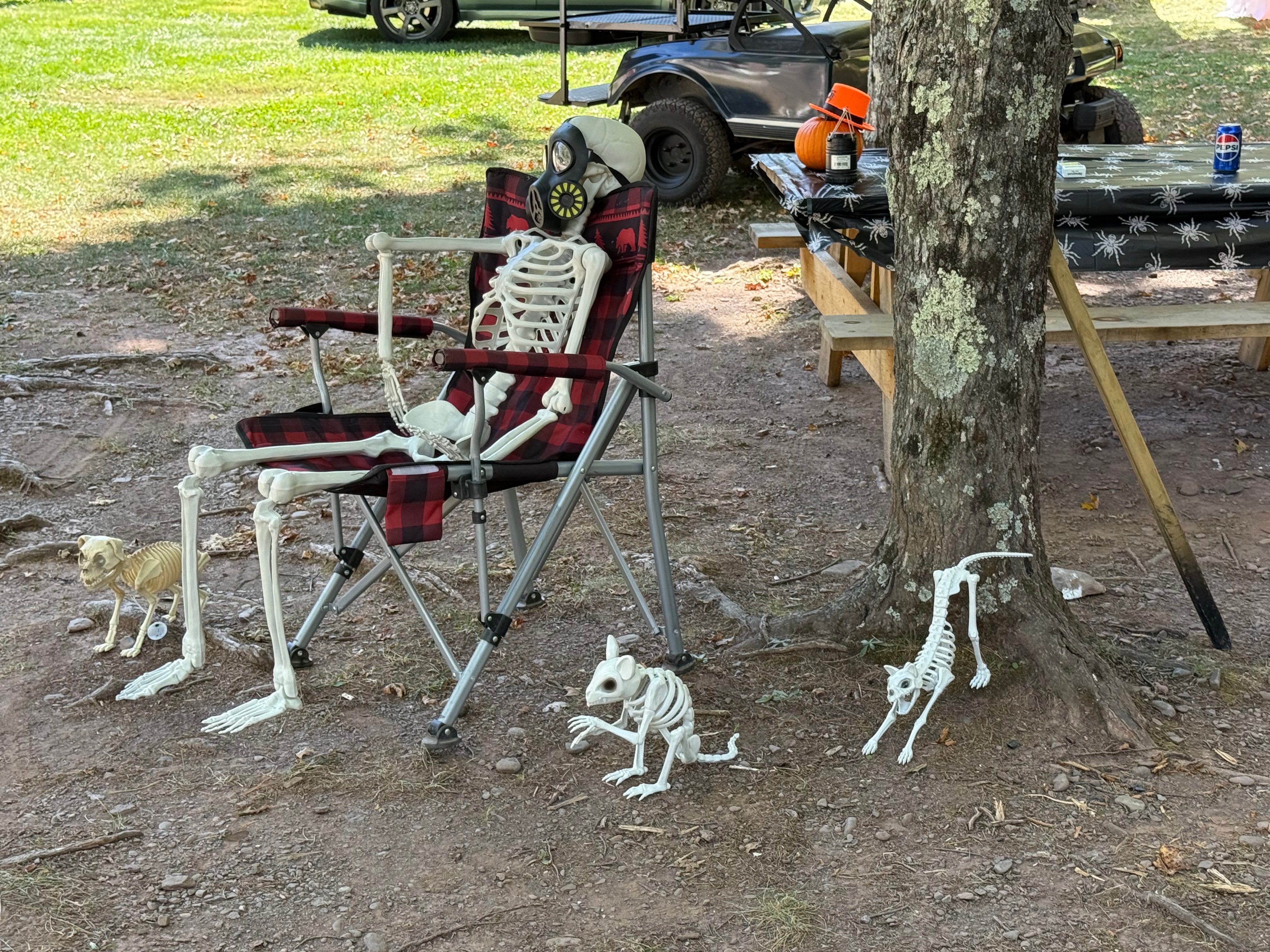 Skeleton crew at the campsite
