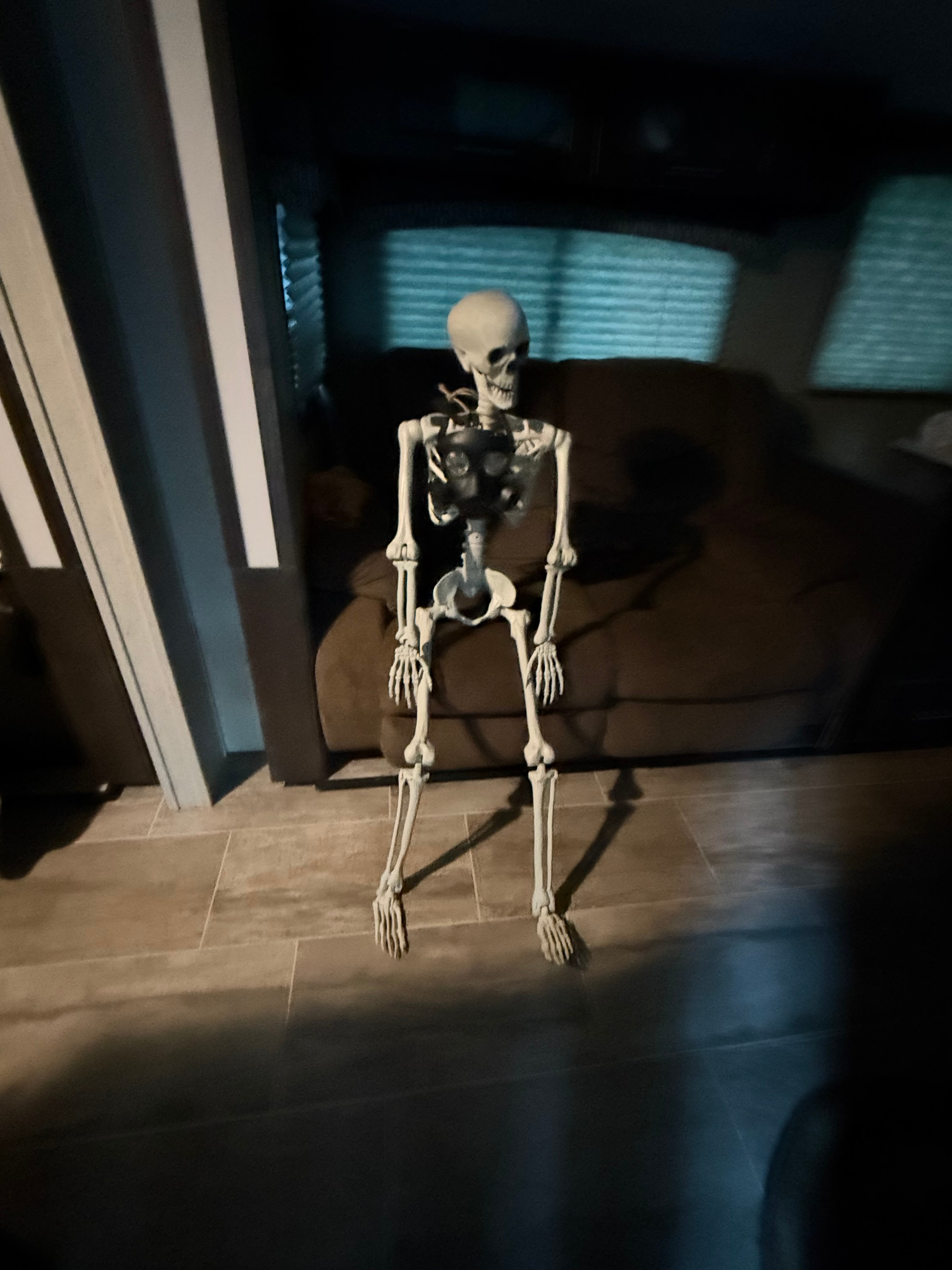 Our Halloween skeleton decoration