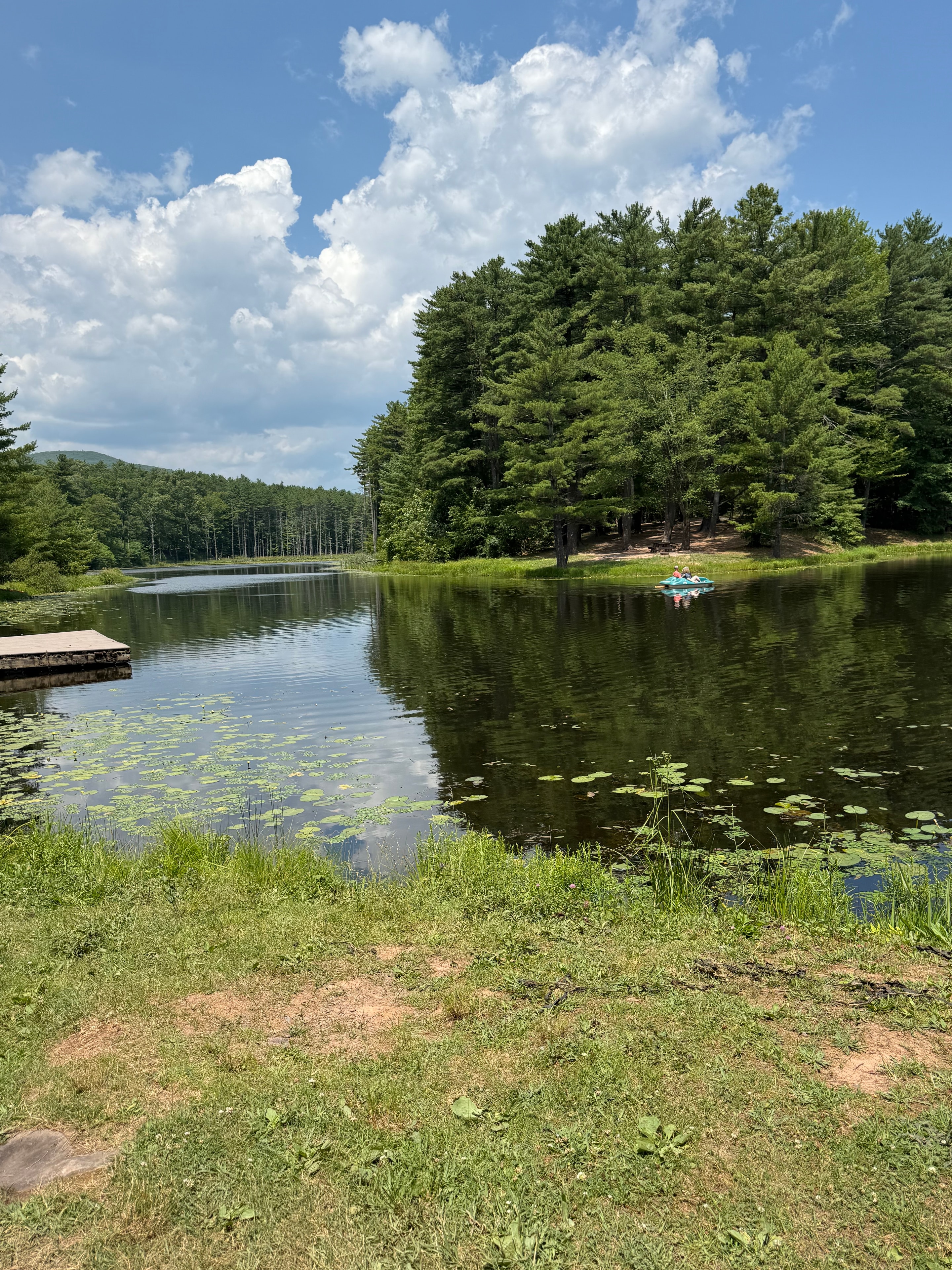 Kayaking on the lily pad pond