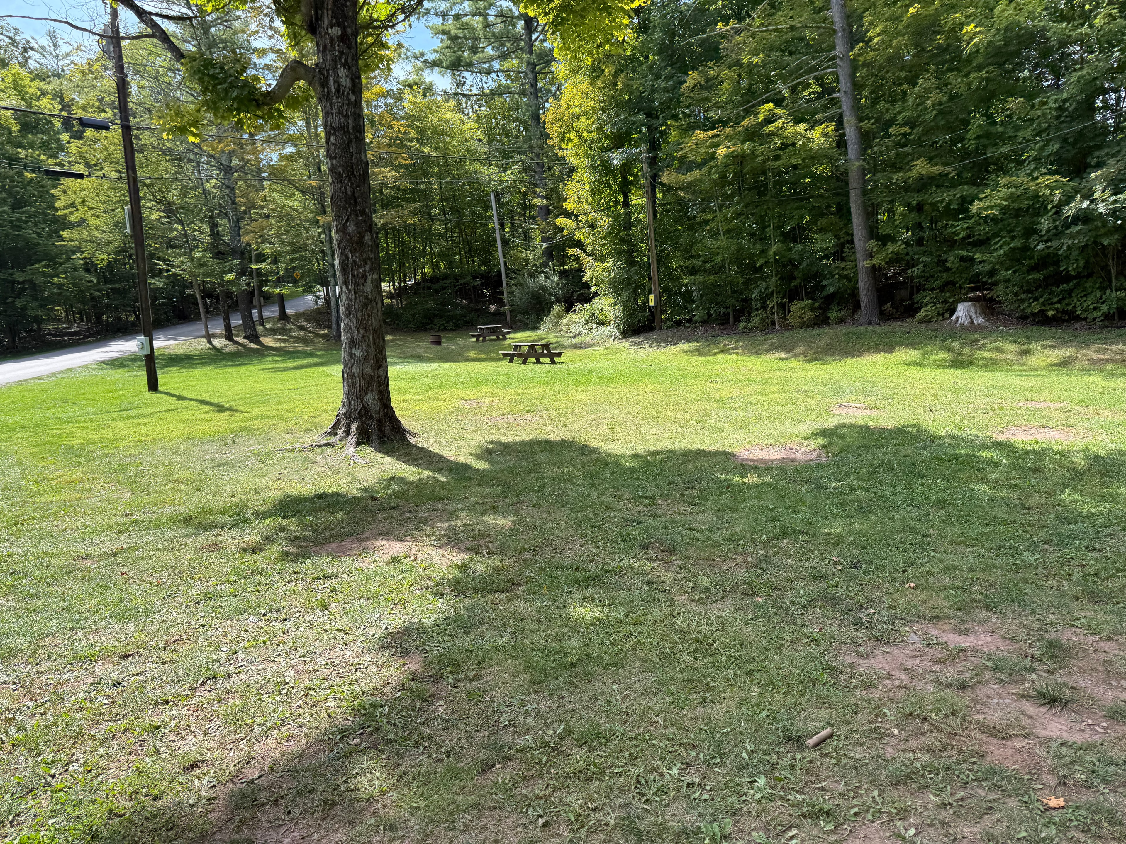 Open field area at Whip O Will