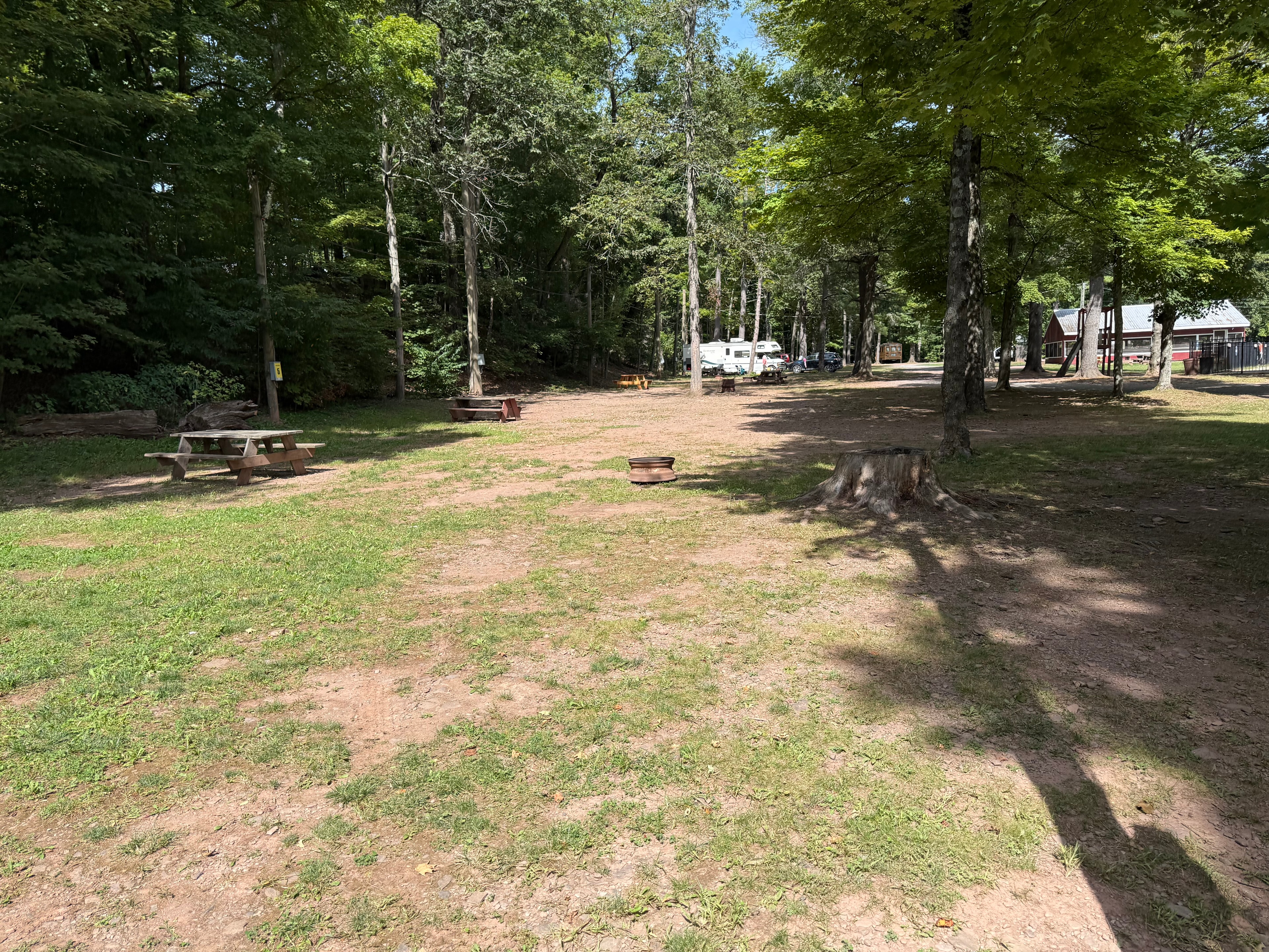 Shady campground with picnic tables