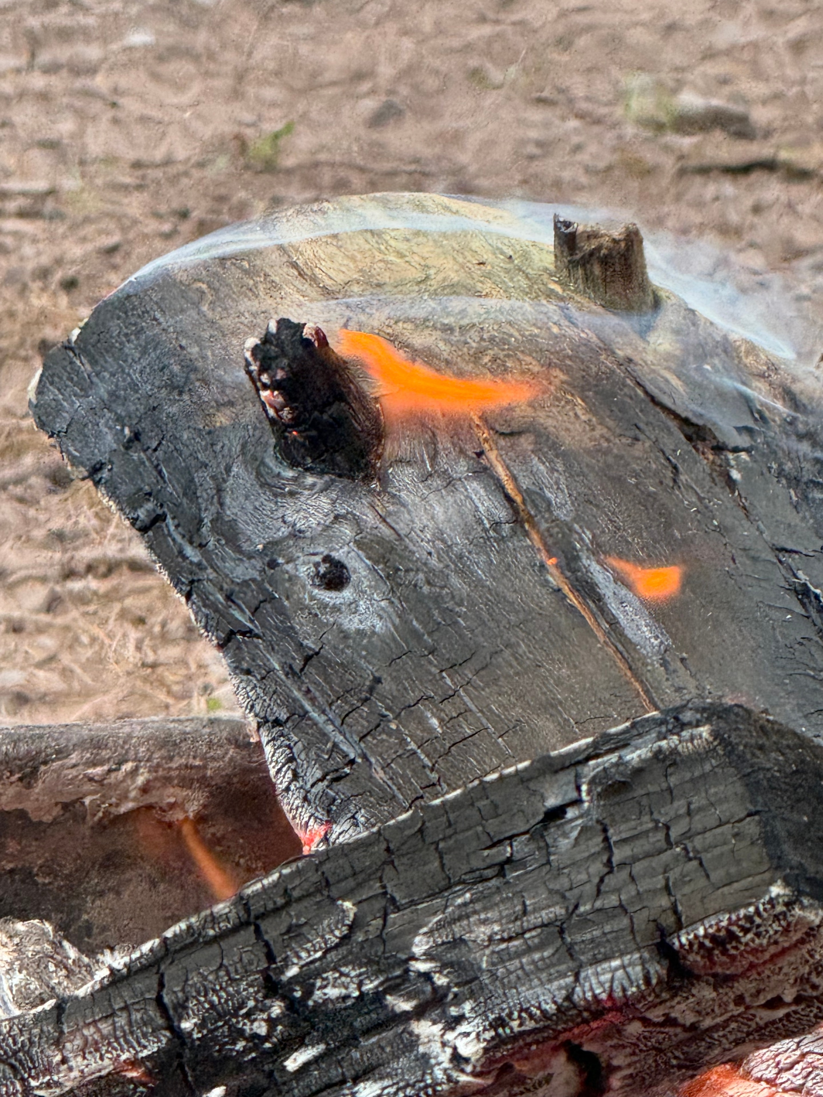 Glowing embers close up