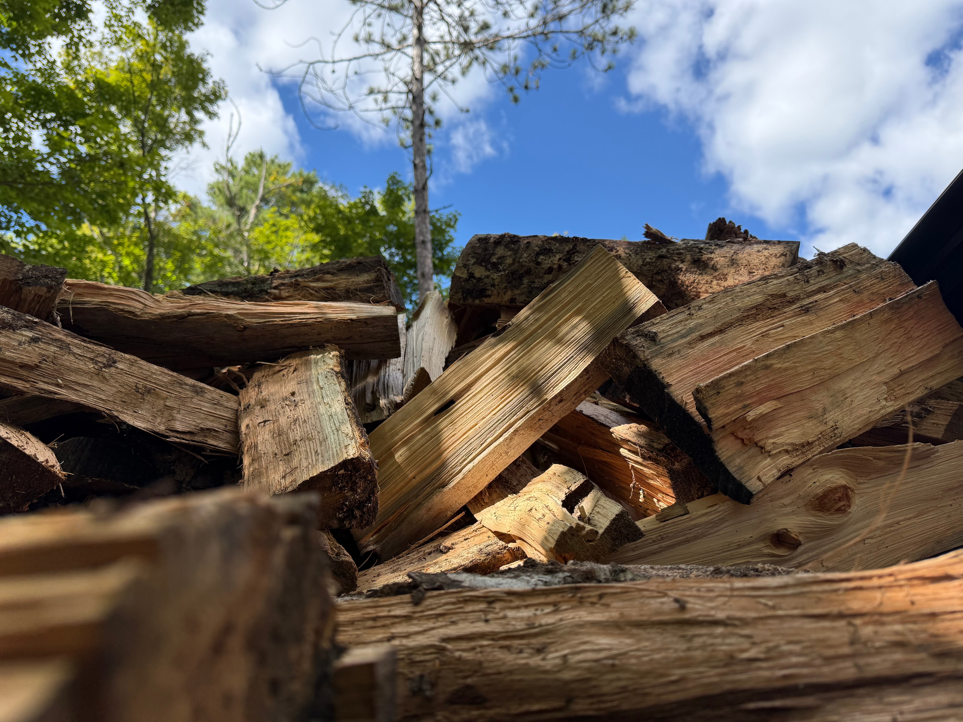 Firewood stacked and ready to burn