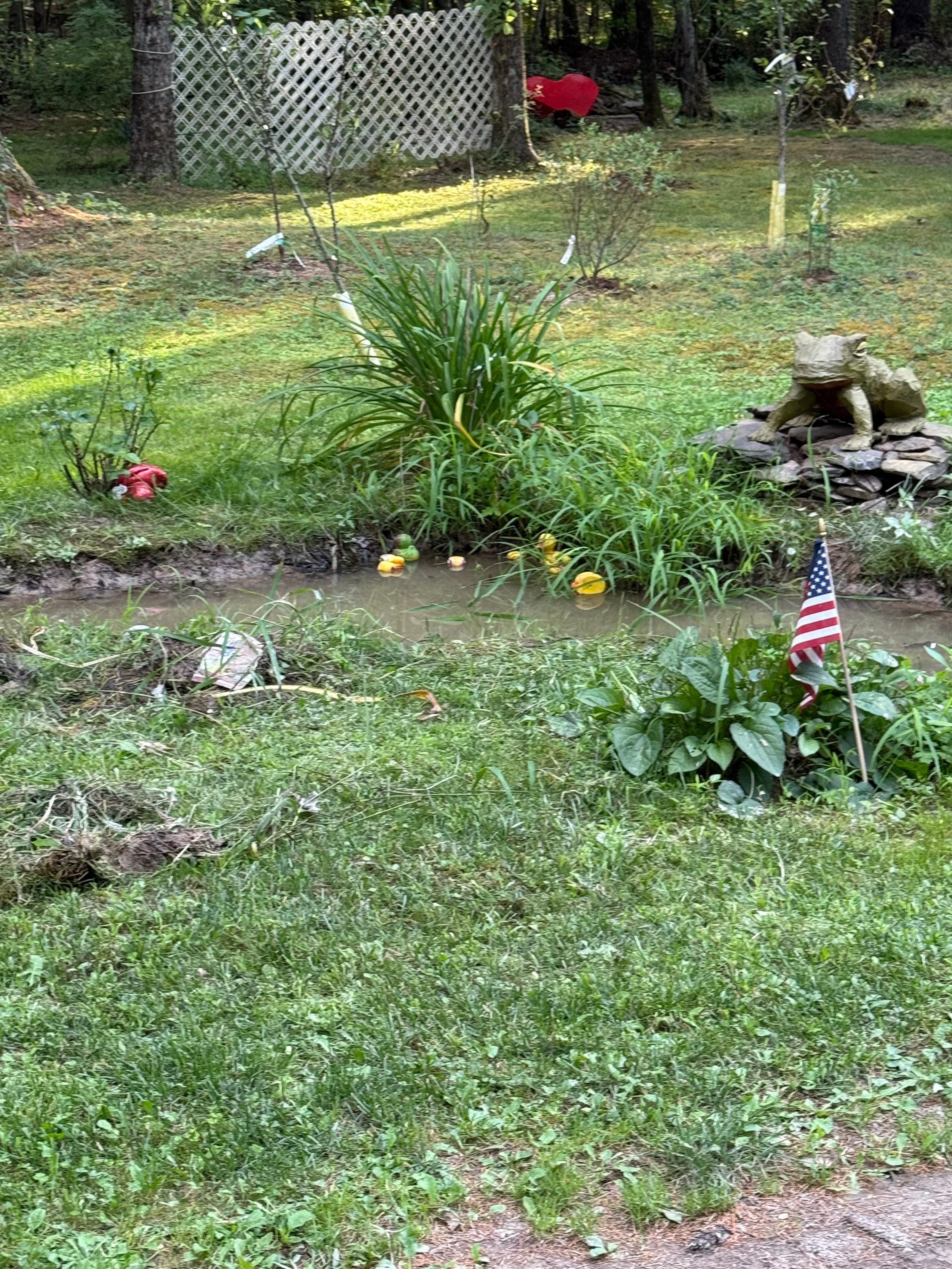Garden flowers and American flag