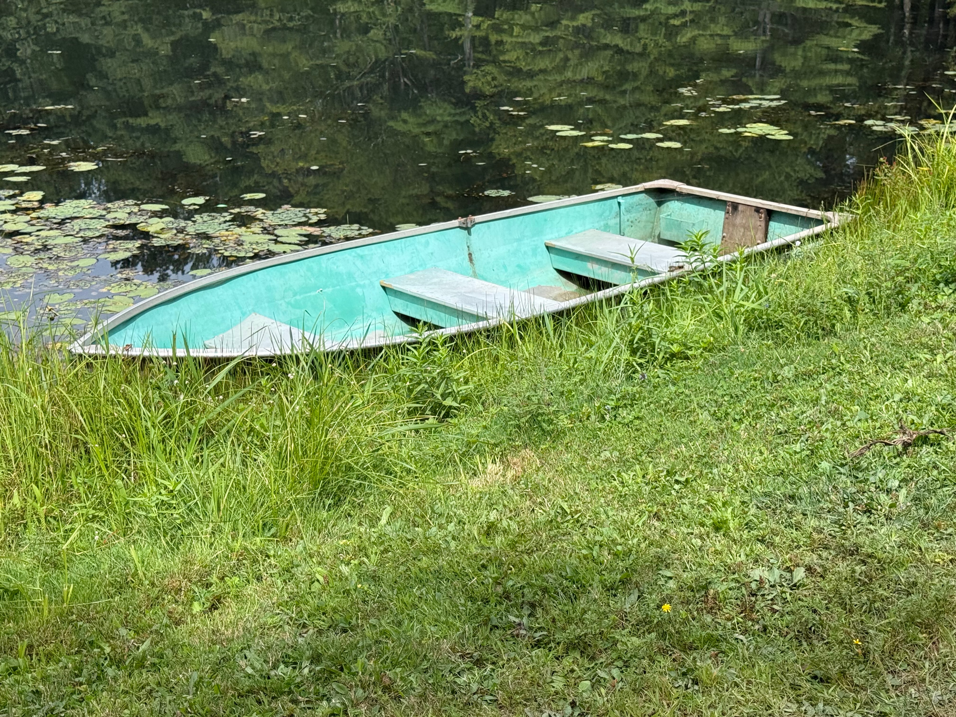 Turquoise rowboat on the lily pad pond