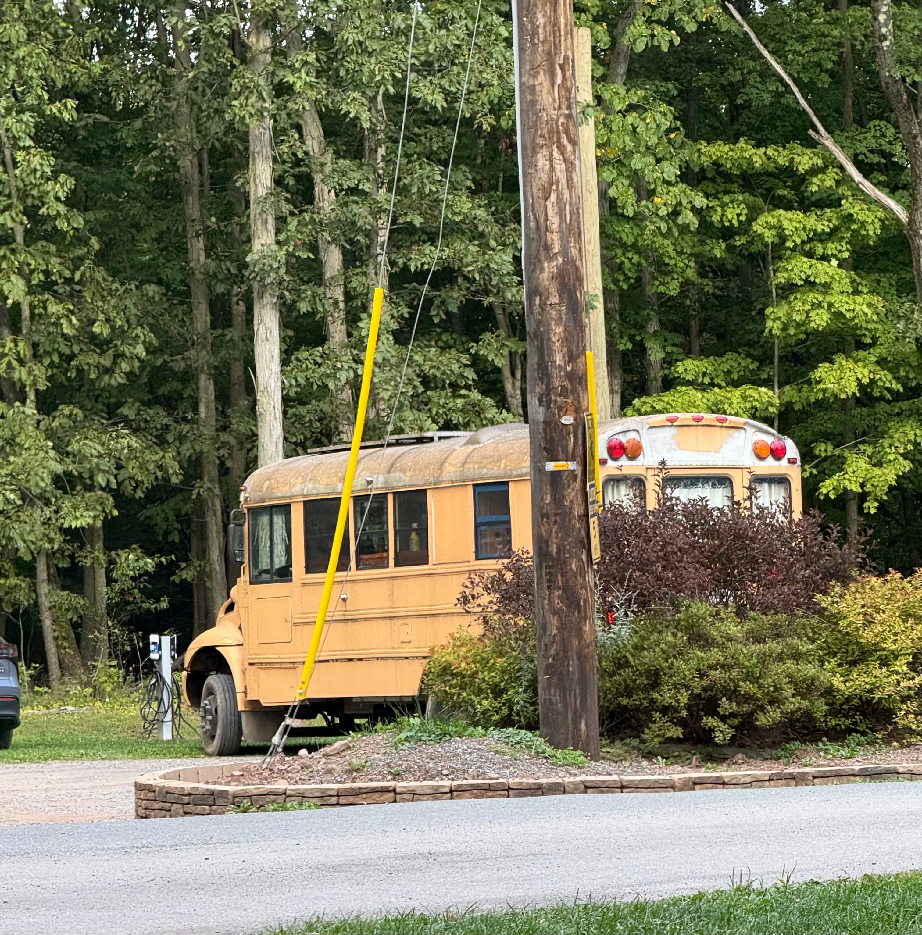 Vintage school buses at Whip O Will