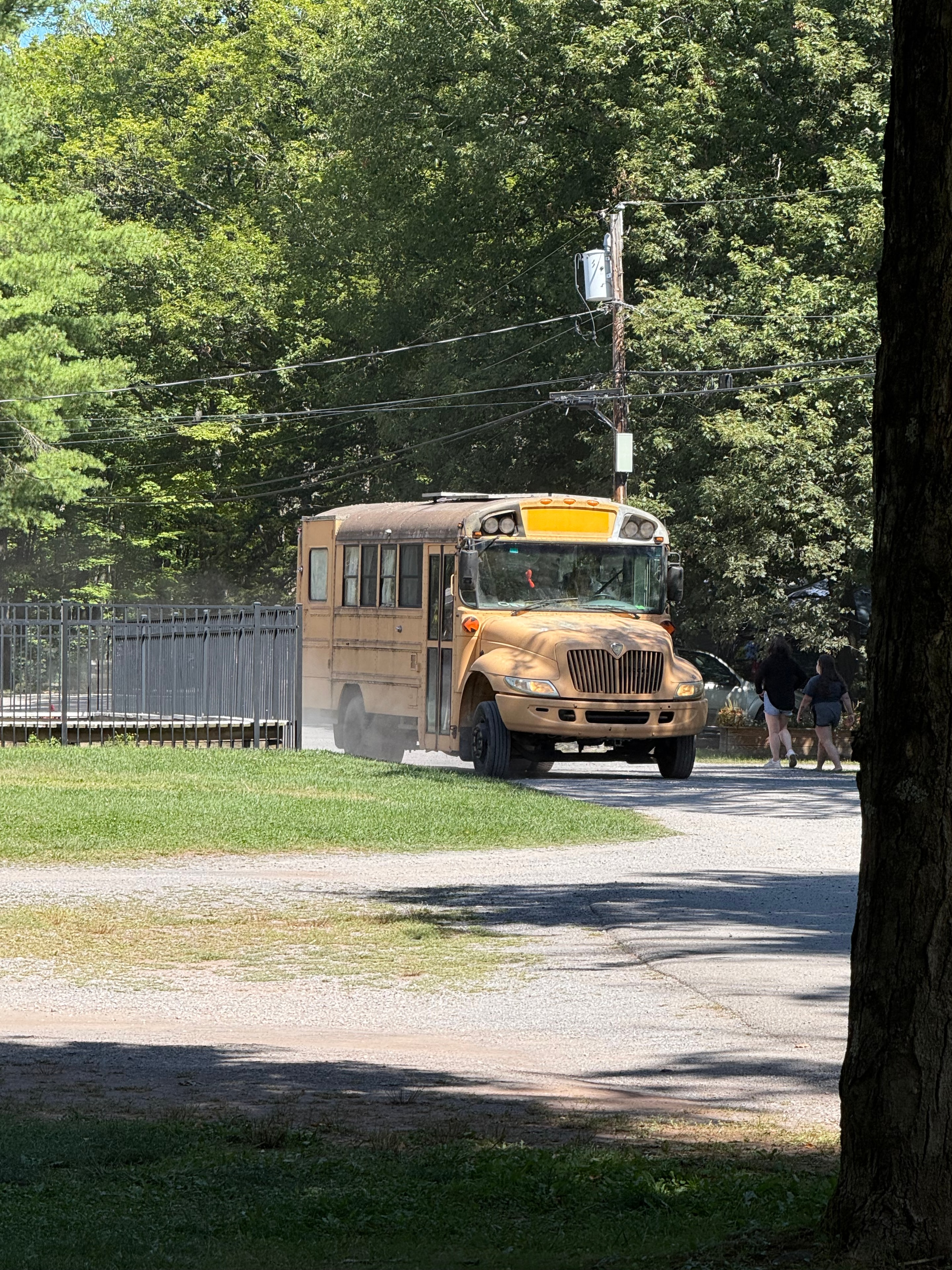 Vintage truck on the campground road