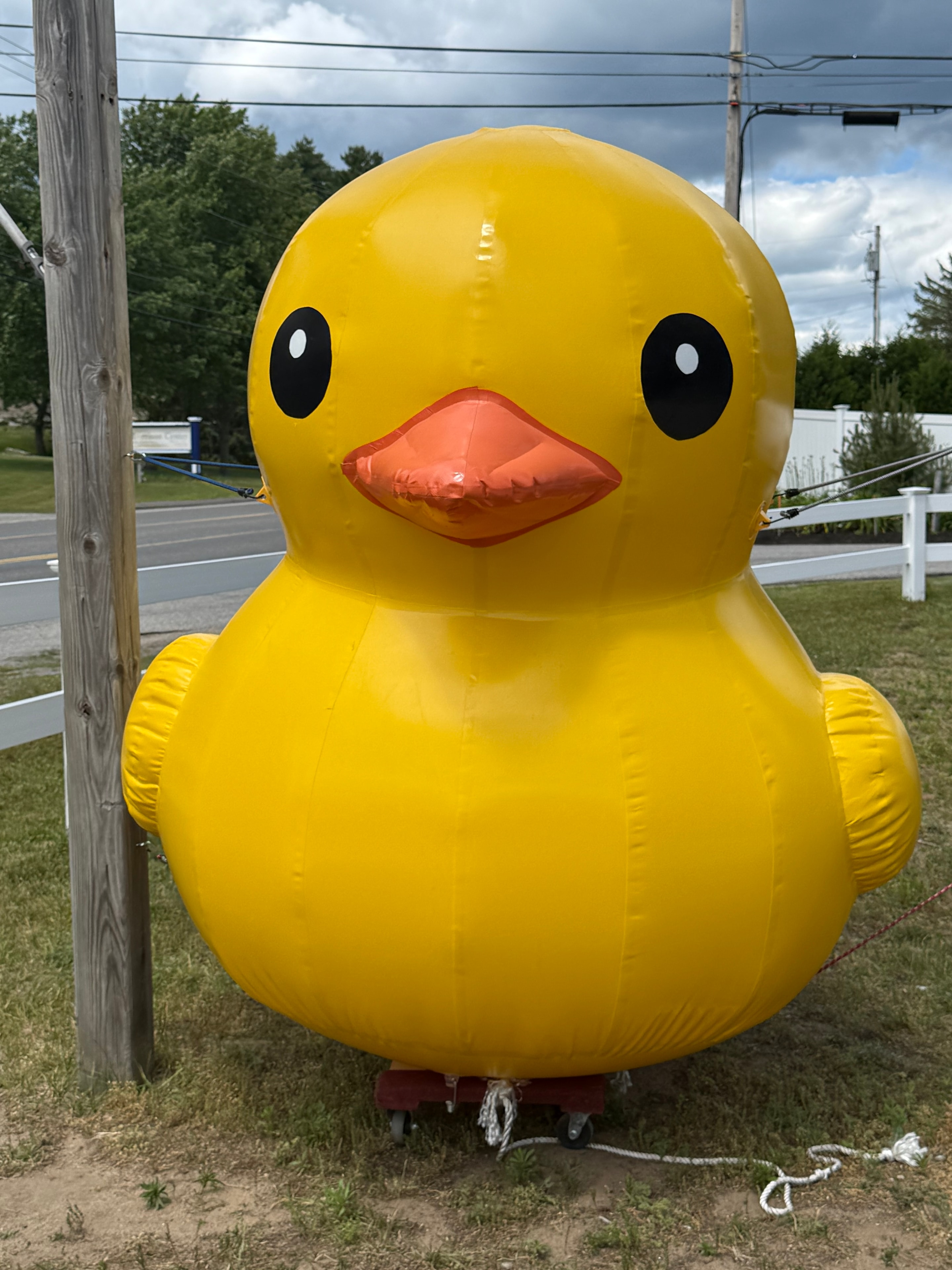 Giant rubber duck