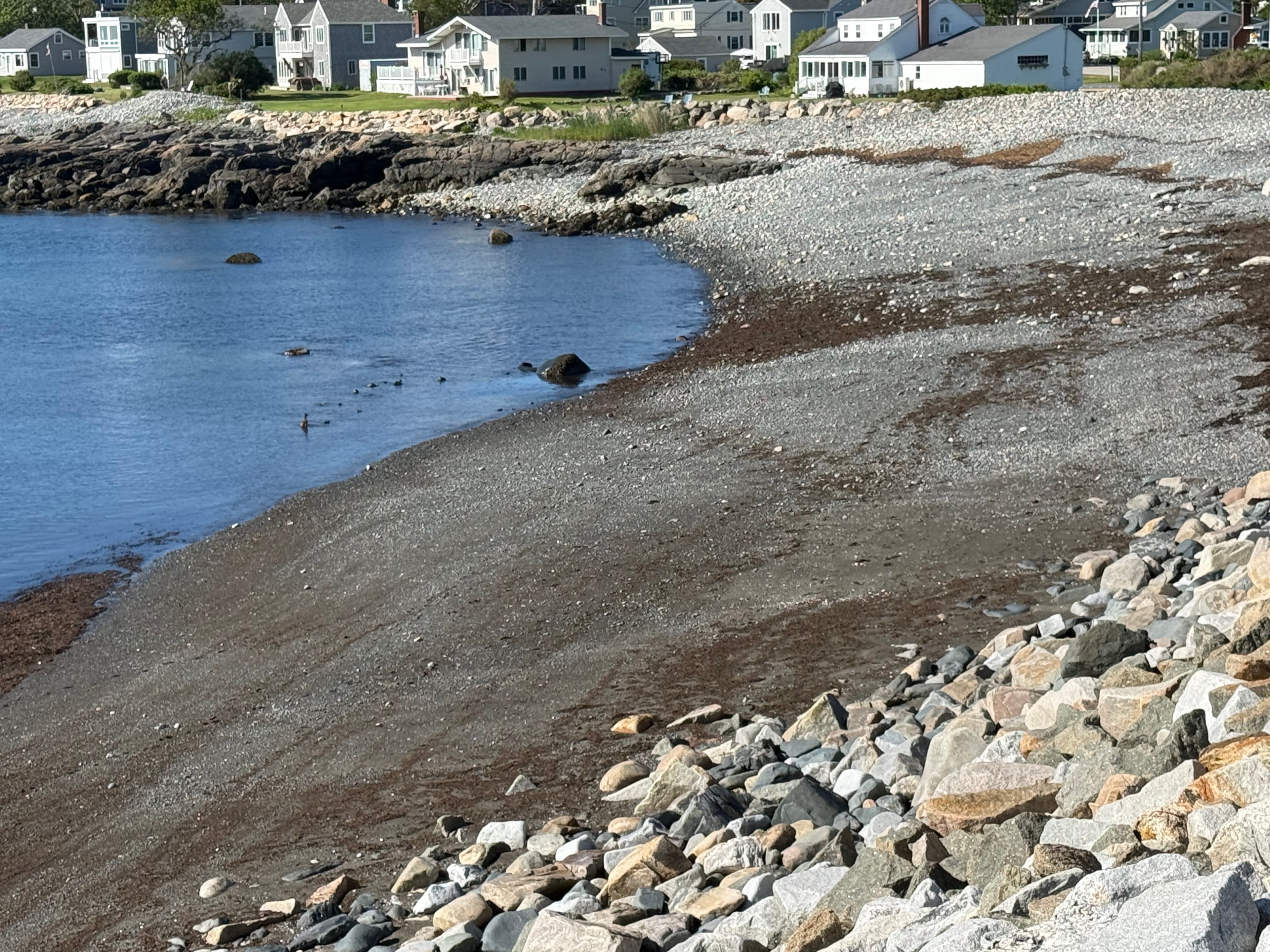 Pebble beach at low tide