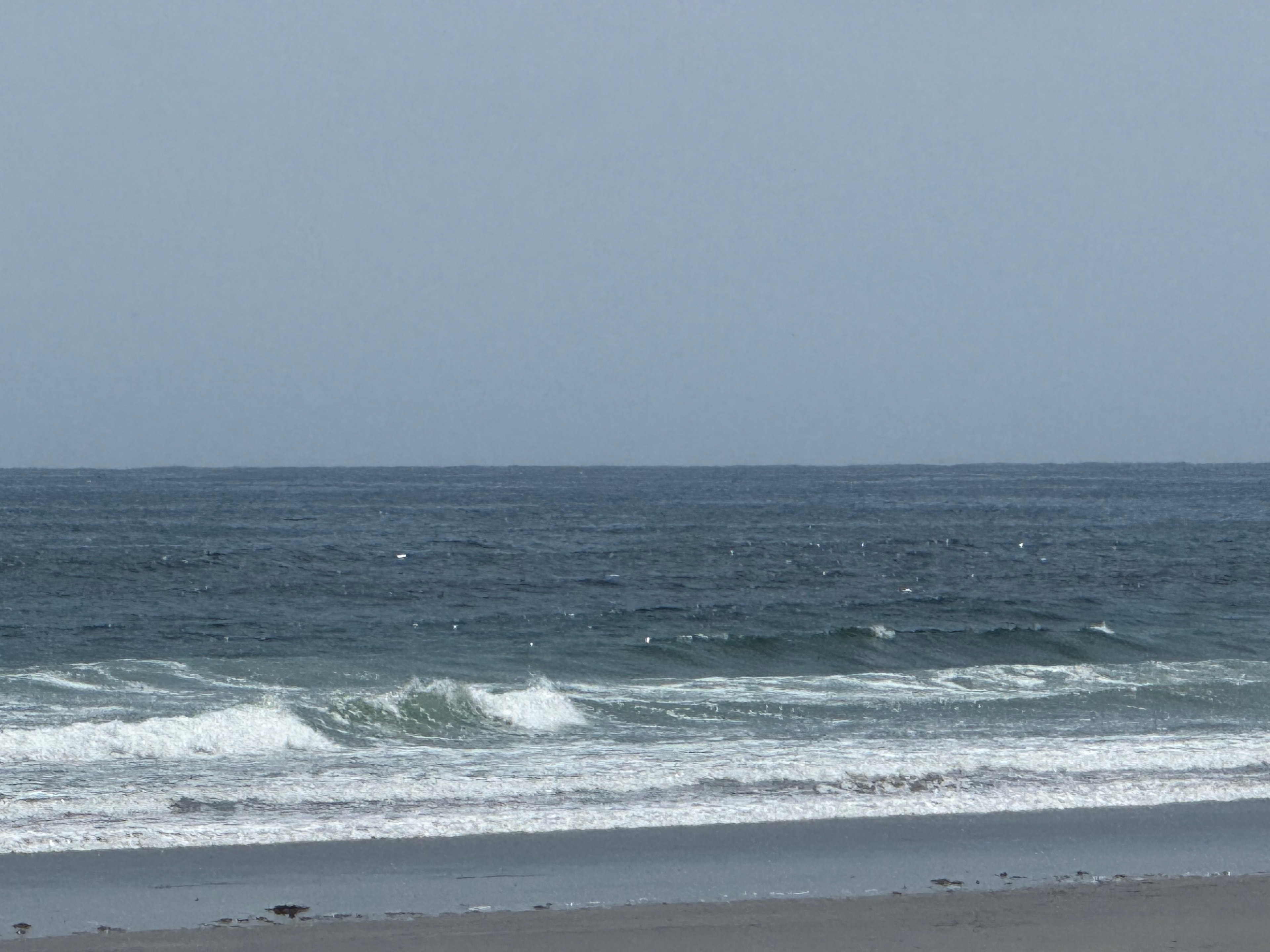 Ocean waves rolling in on a calm day